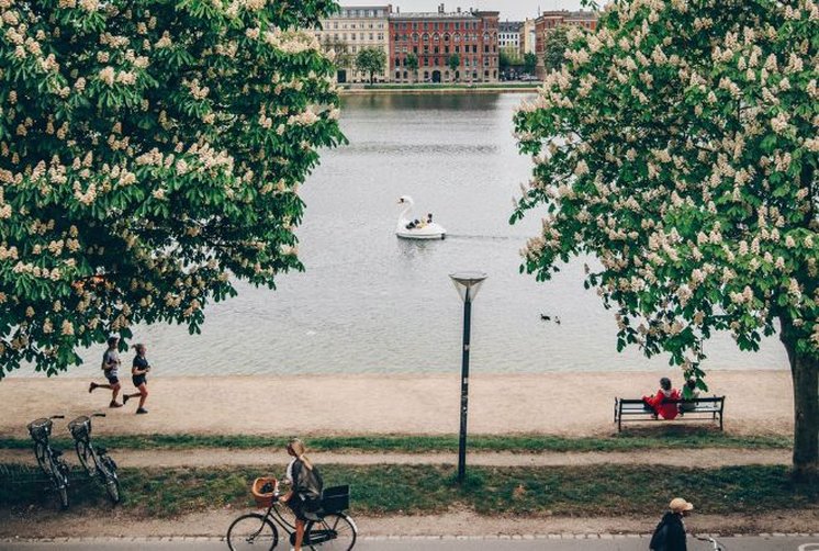 Hotel Kong Arthur by null