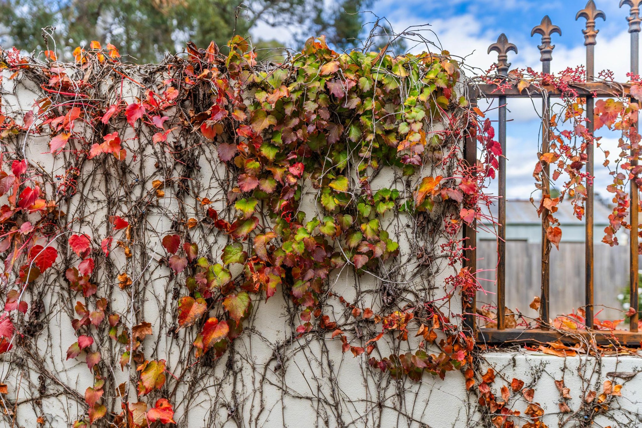 de Russie Boutique Hotel Orange by null