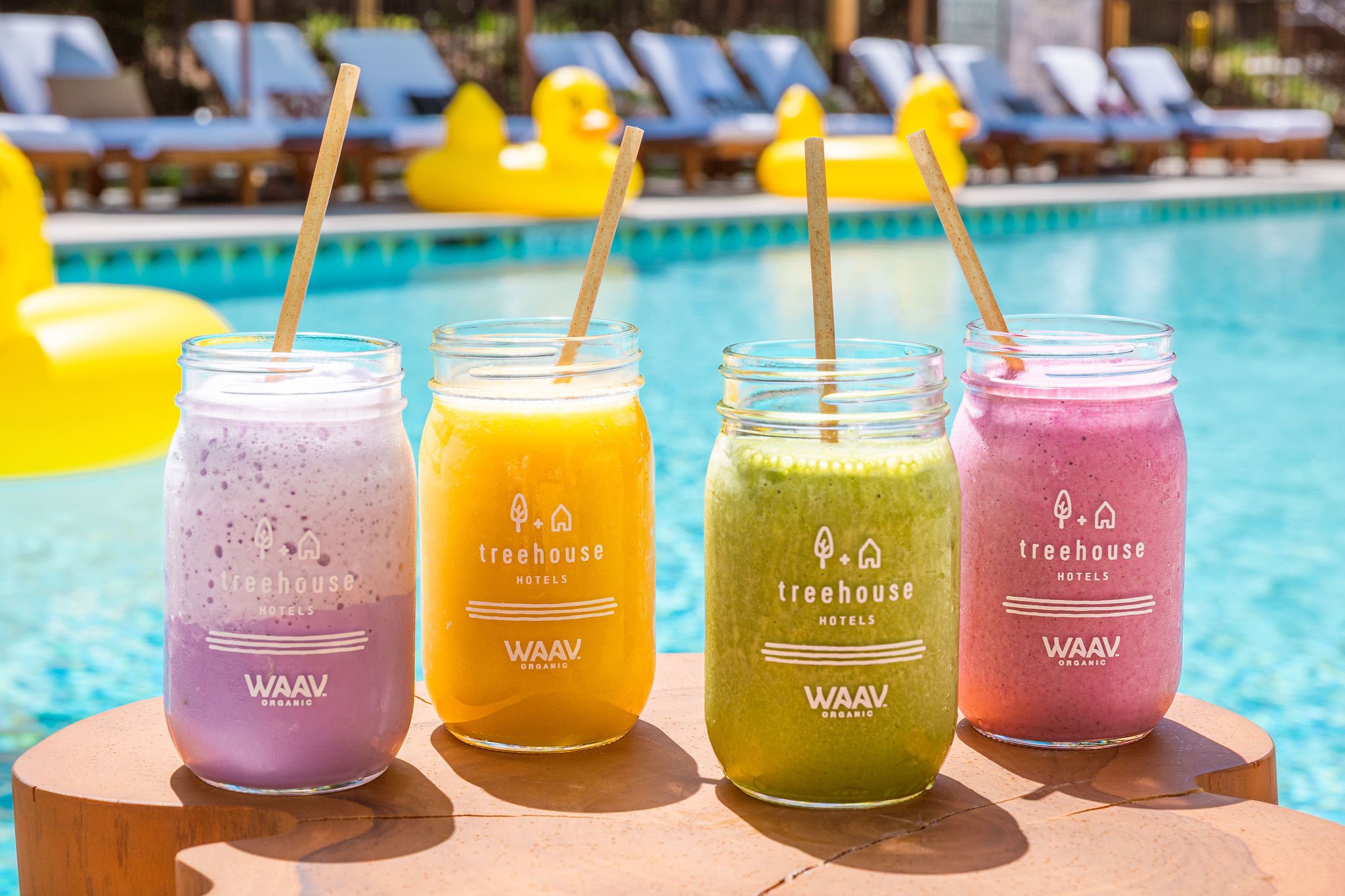 Treehouse Hotel Silicon Valley by null