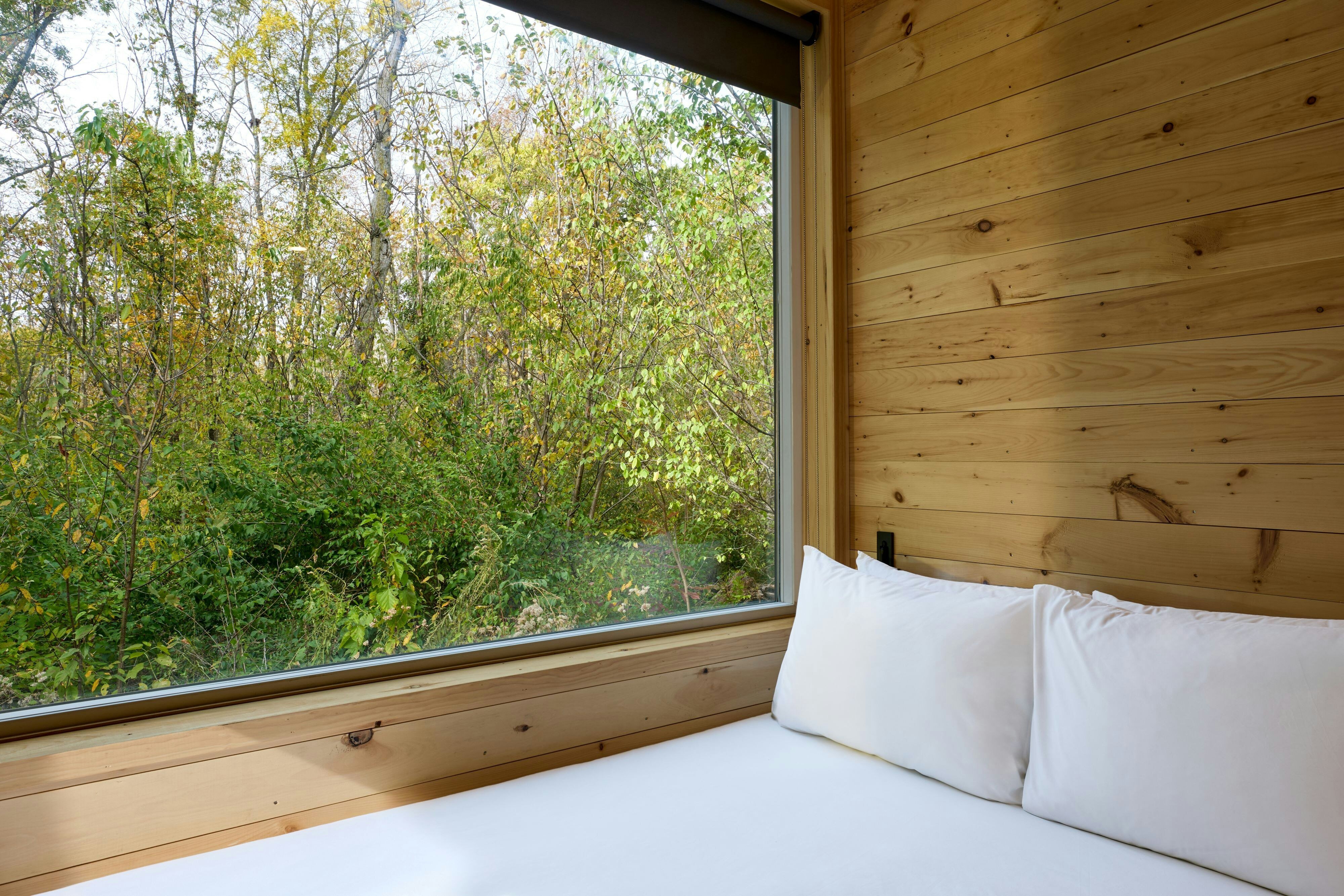 Postcard Cabins Mount Adams, Outdoor Collection by Marriott Bonvoy by null