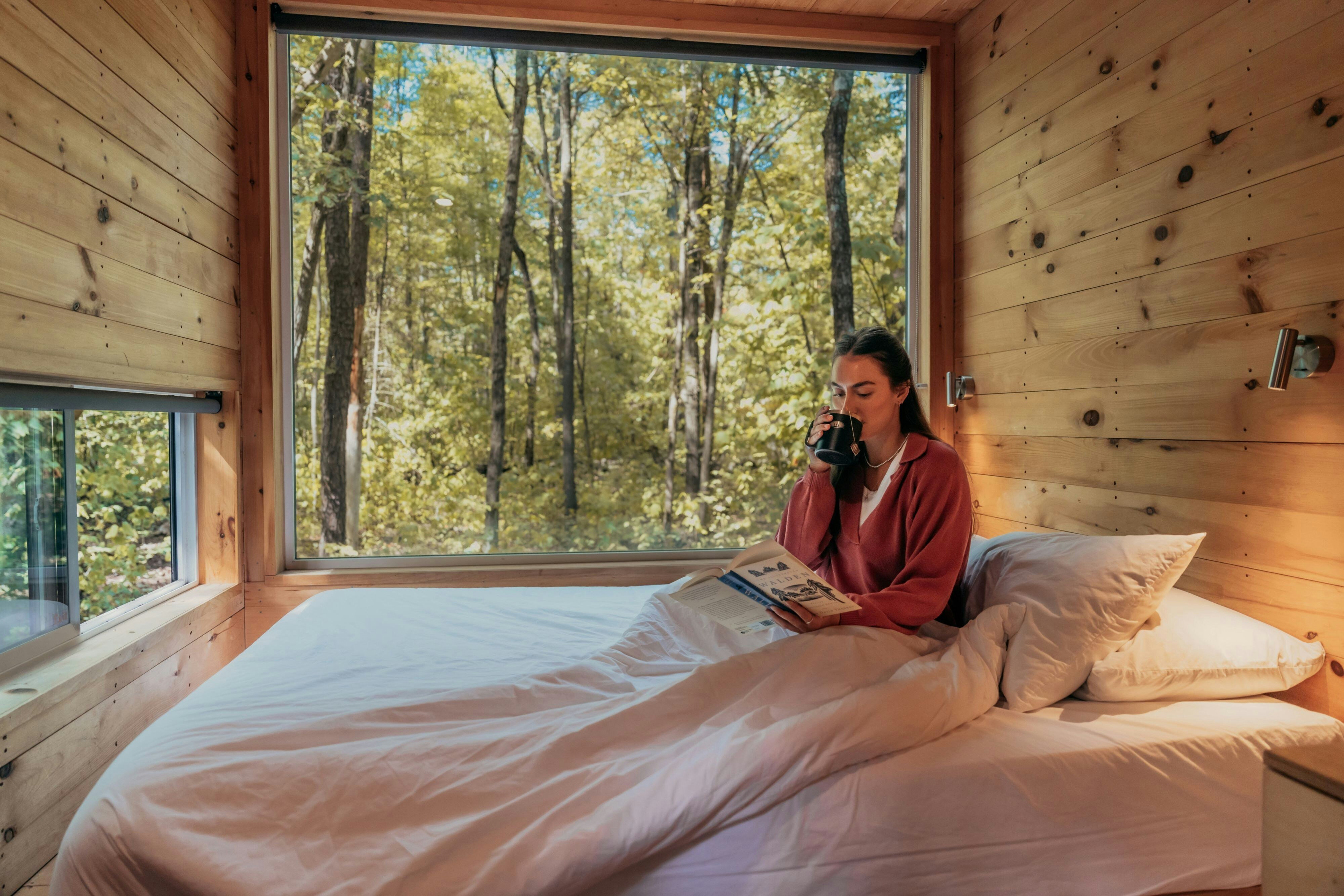 Postcard Cabins Mount Adams, Outdoor Collection by Marriott Bonvoy by null