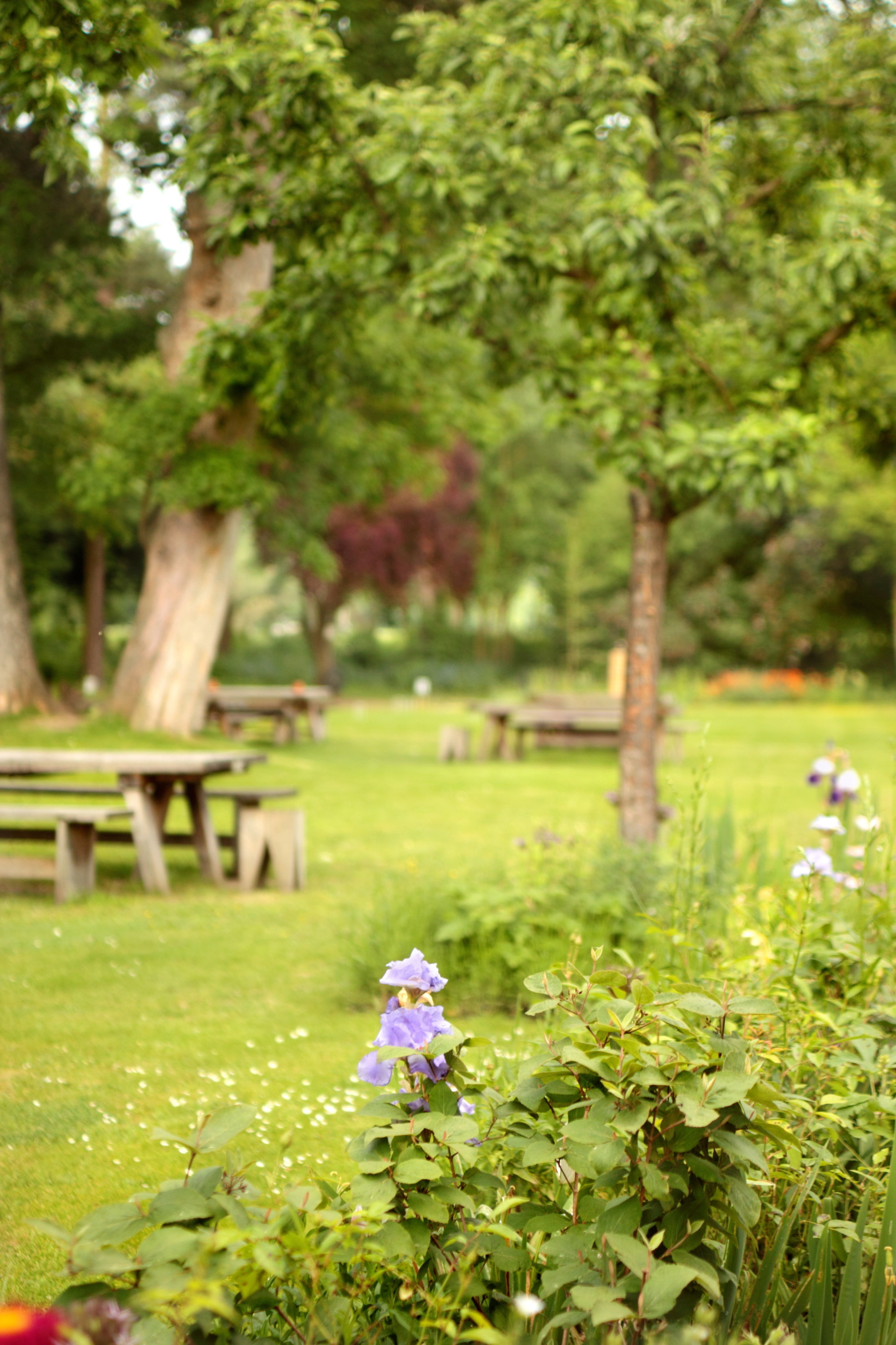 The Olde Bell, BW Signature Collection by Best Western by null