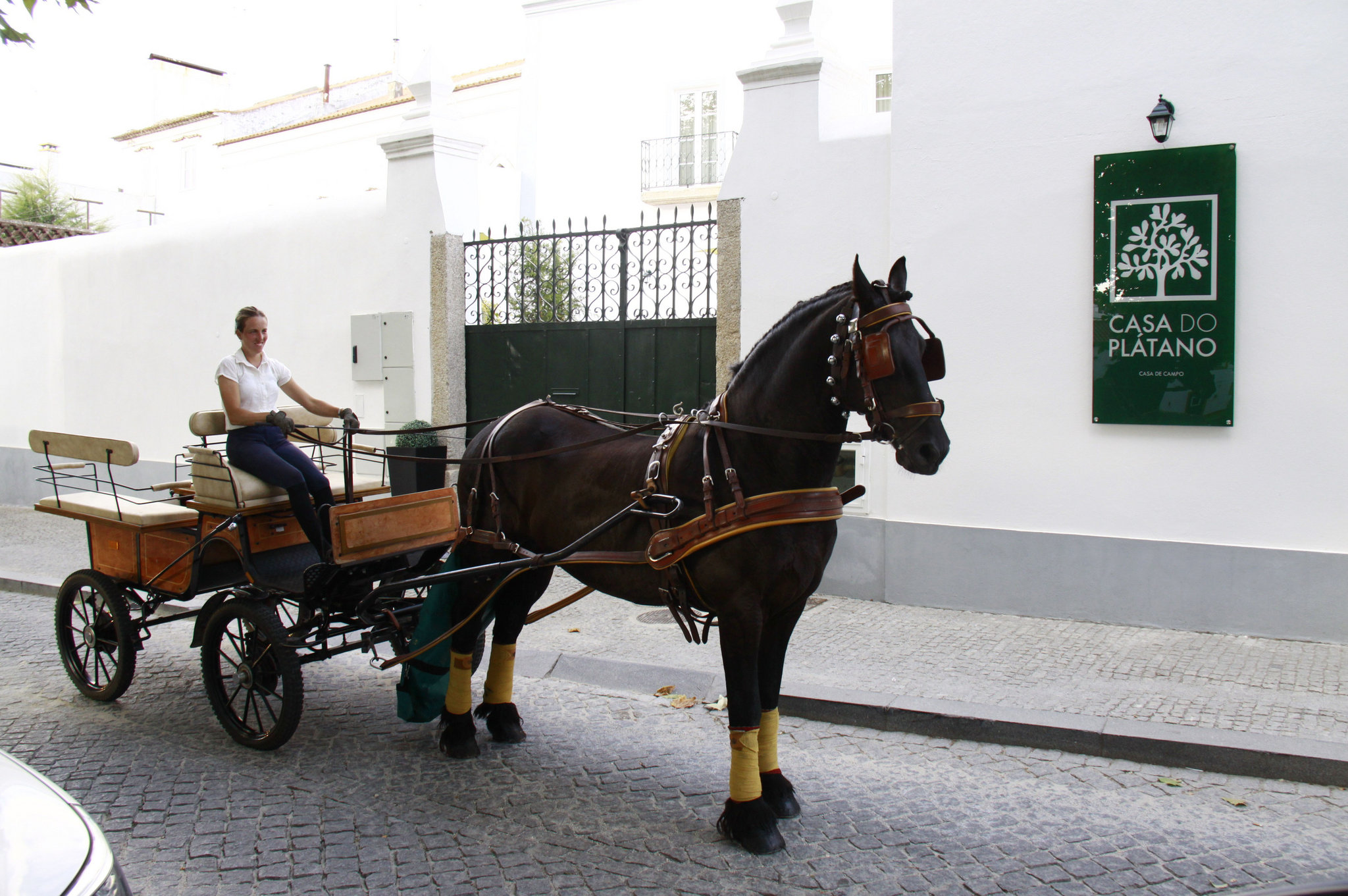 Casa do Plátano-Alentejo by null