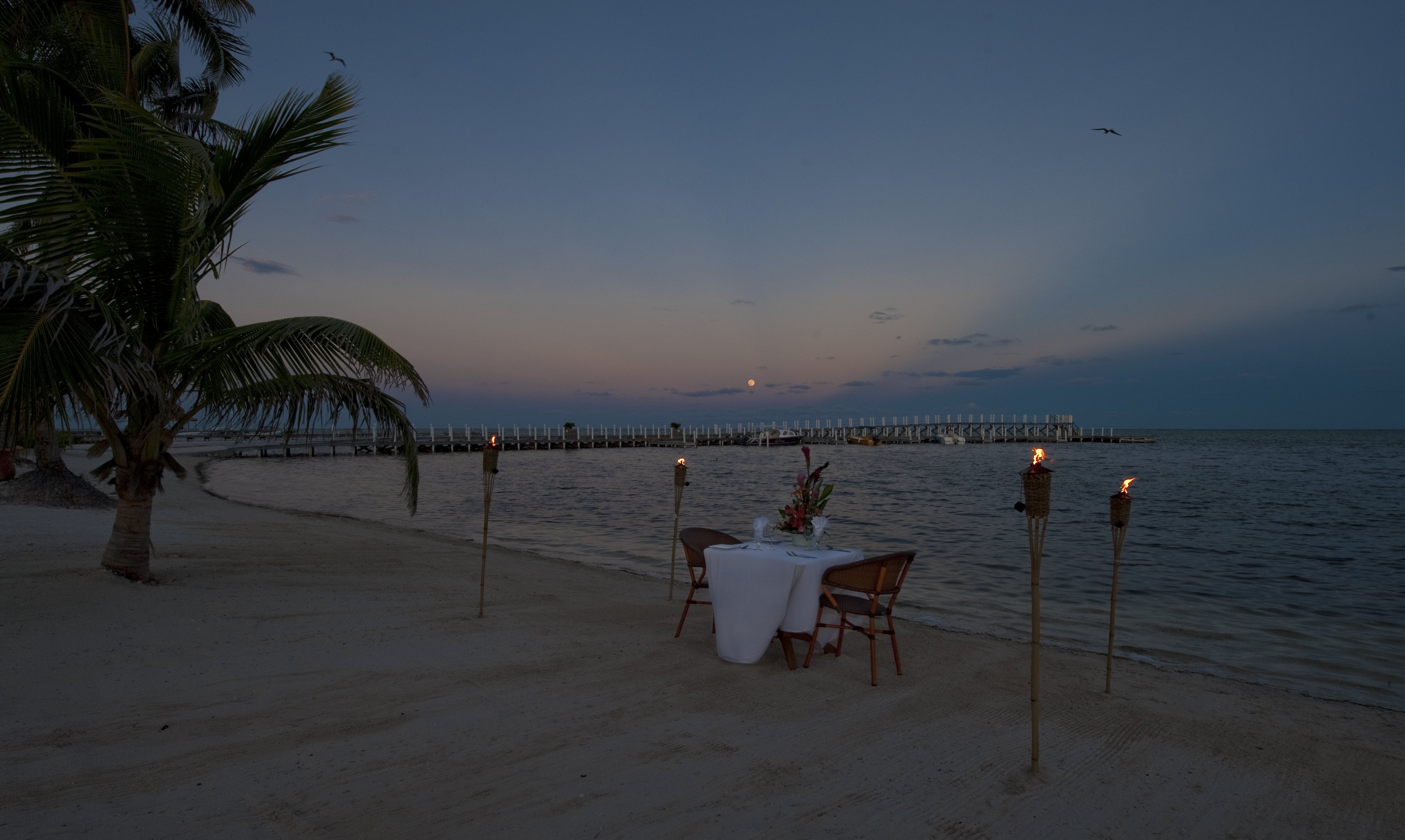 Las Terrazas Resort & Residences by null