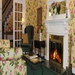 Queen Anne's Revenge by null