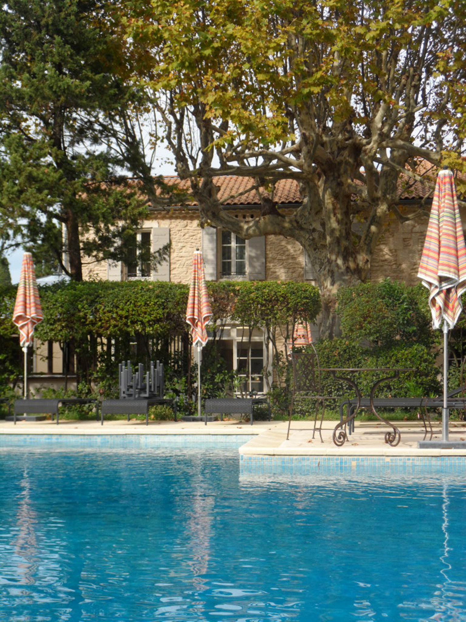 Mas Valentine by null