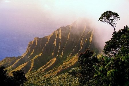 The West Inn Kauai by null