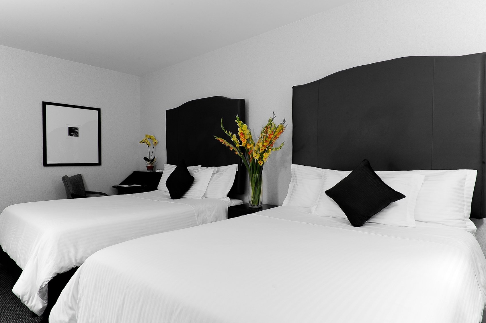 Washington Jefferson Hotel by null