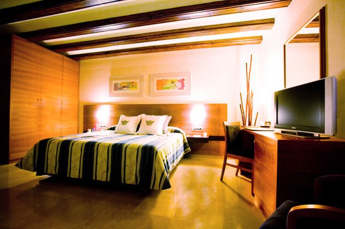 Sercotel Palacio de Tudemir by null