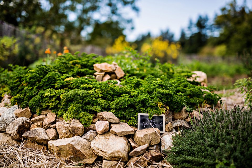 Domaine des Etangs, Auberge Resorts Collection by null