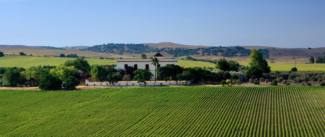 Hacienda de San Rafael by null