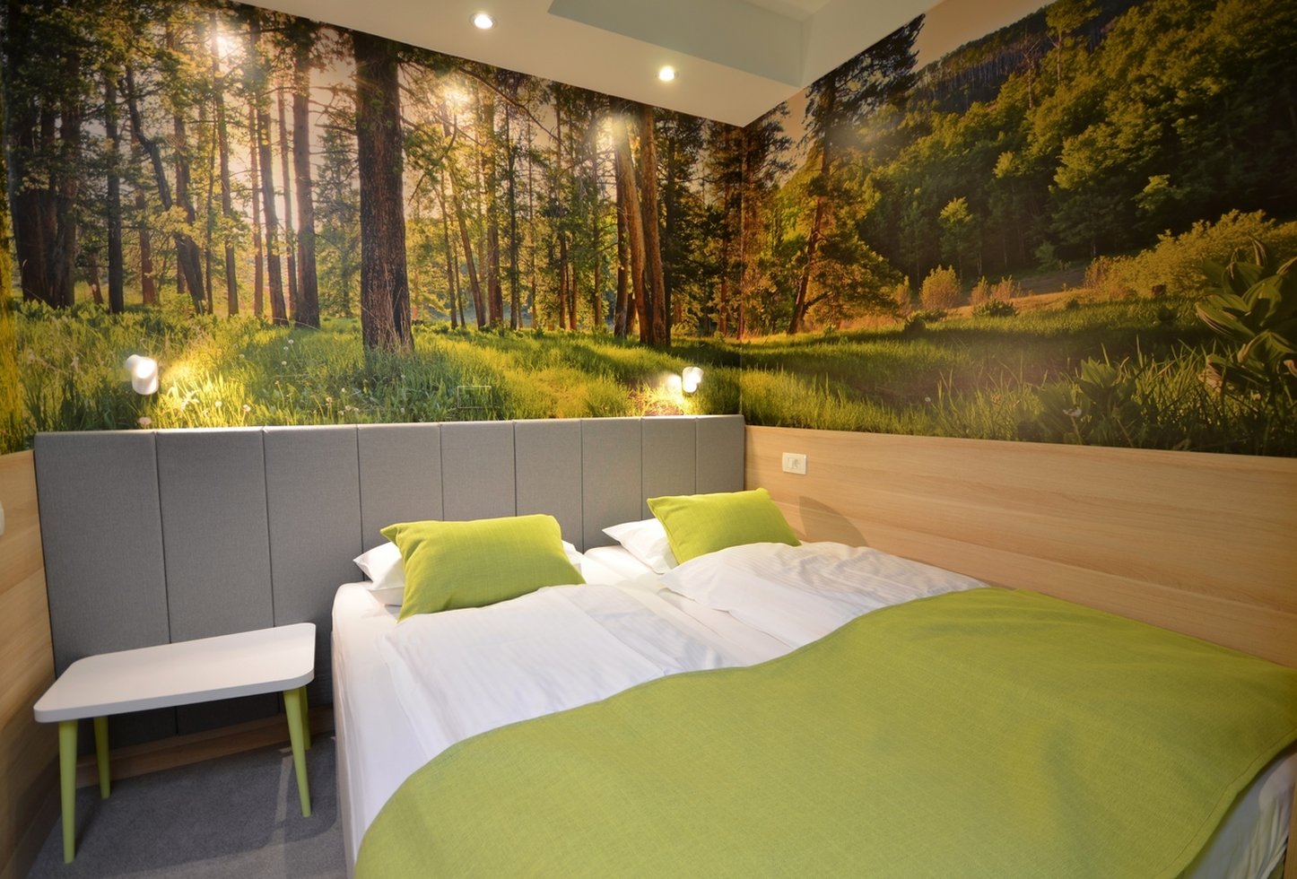 Hotel Emonec by null