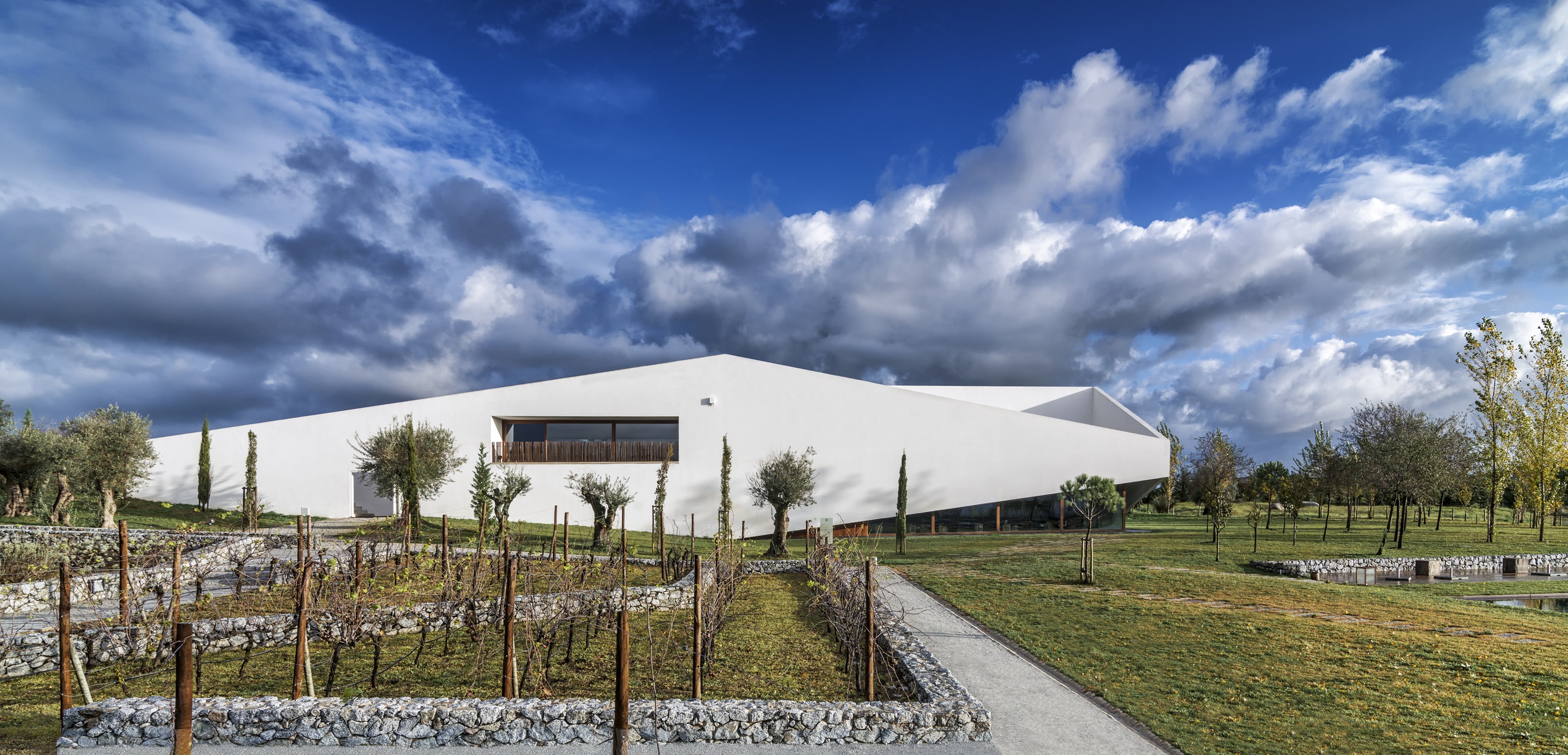 L'and Vineyards by null