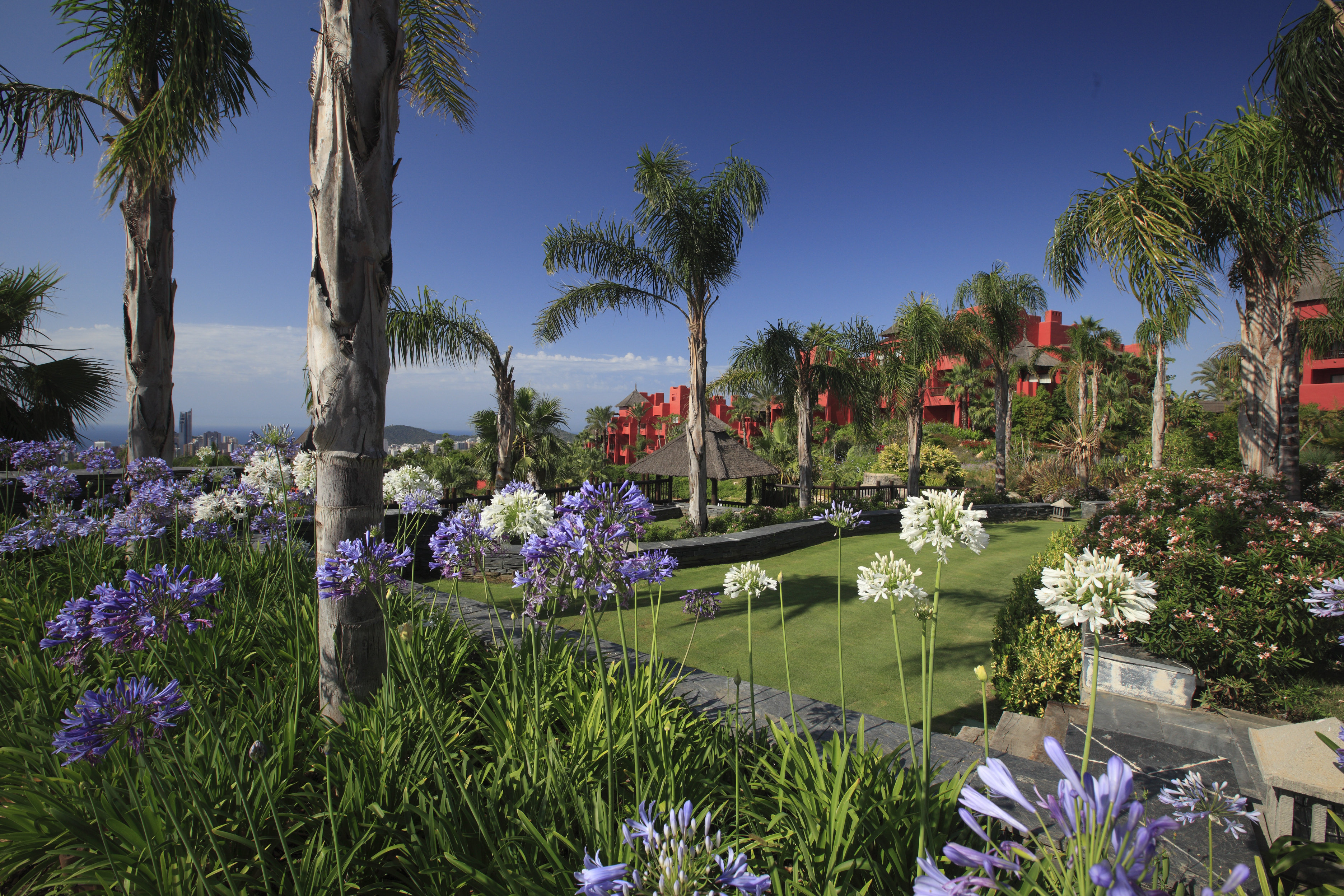 Asia Gardens by null