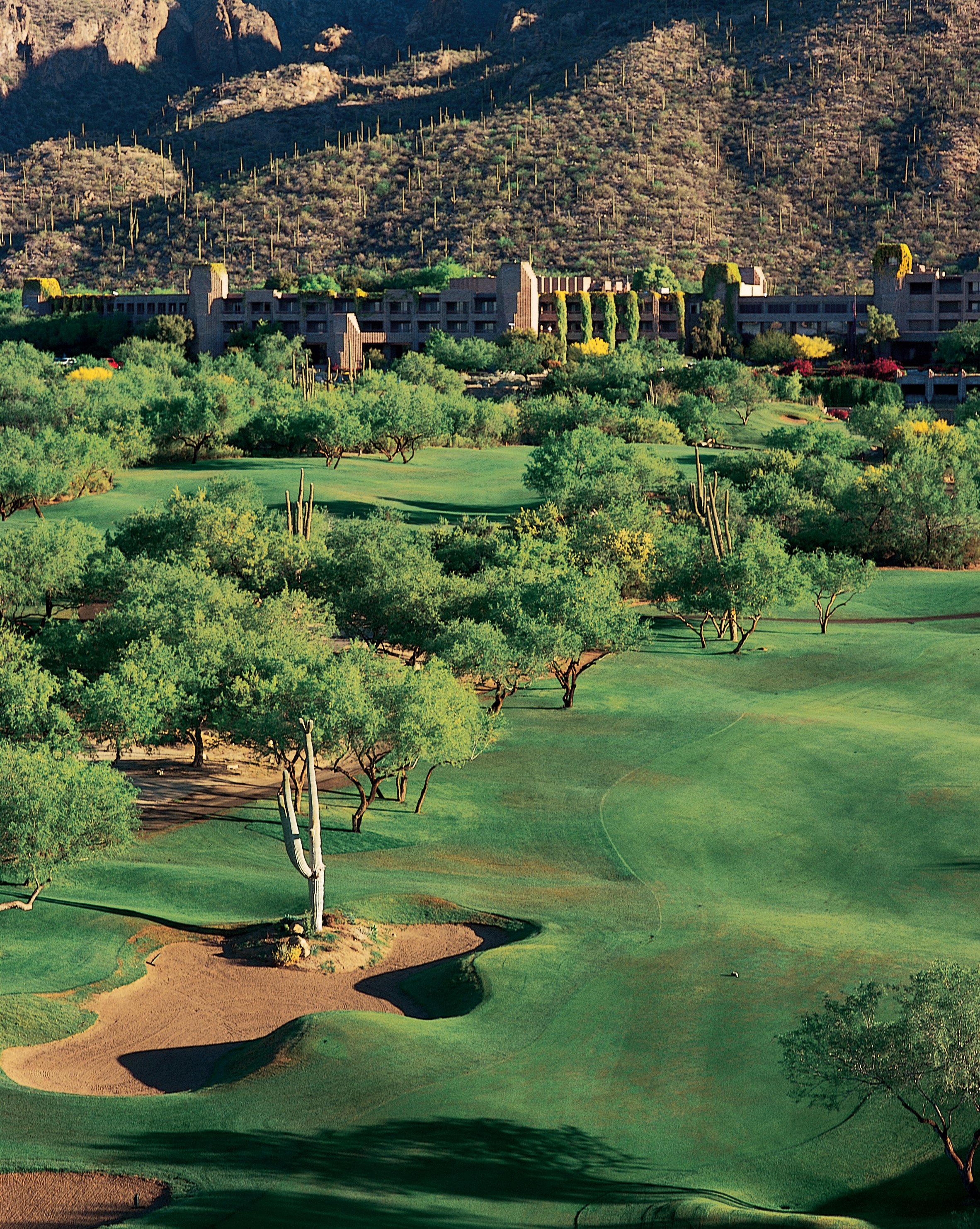 Loews Ventana Canyon Resort by null
