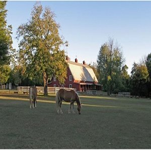 Pratt Place Inn and Barn by null