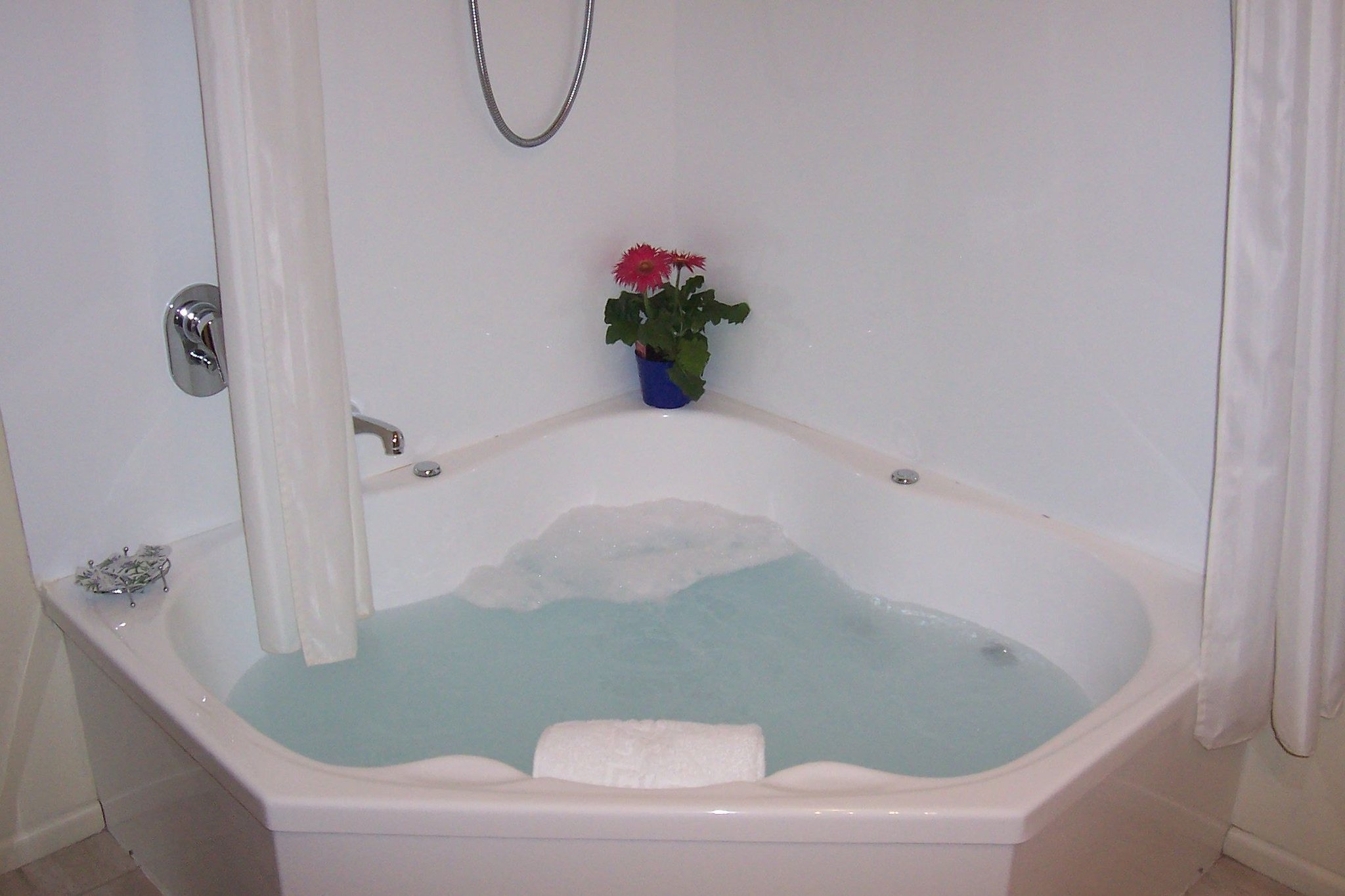 Roma on Riccarton by null