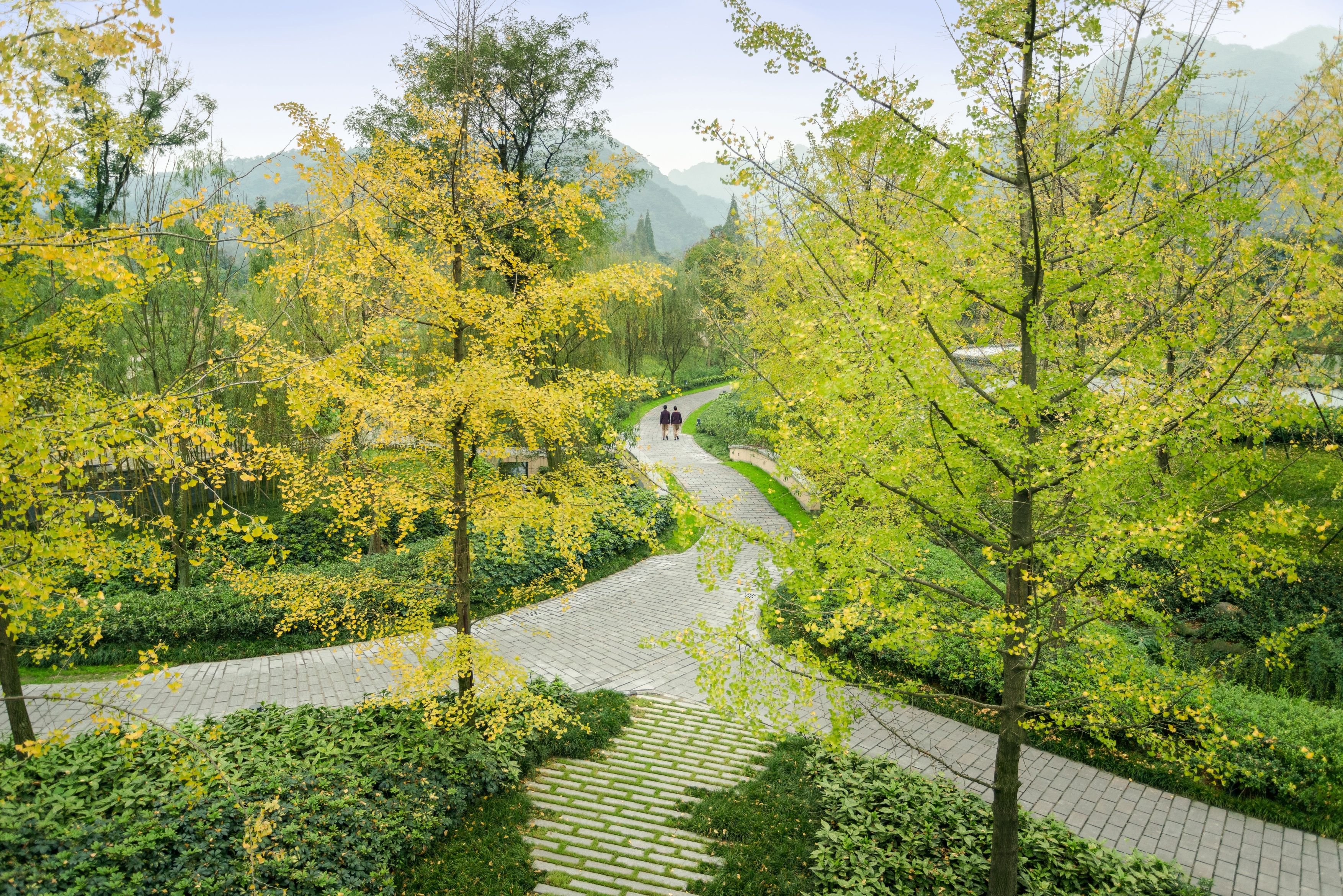 Six Senses Qing Cheng Mountain by null