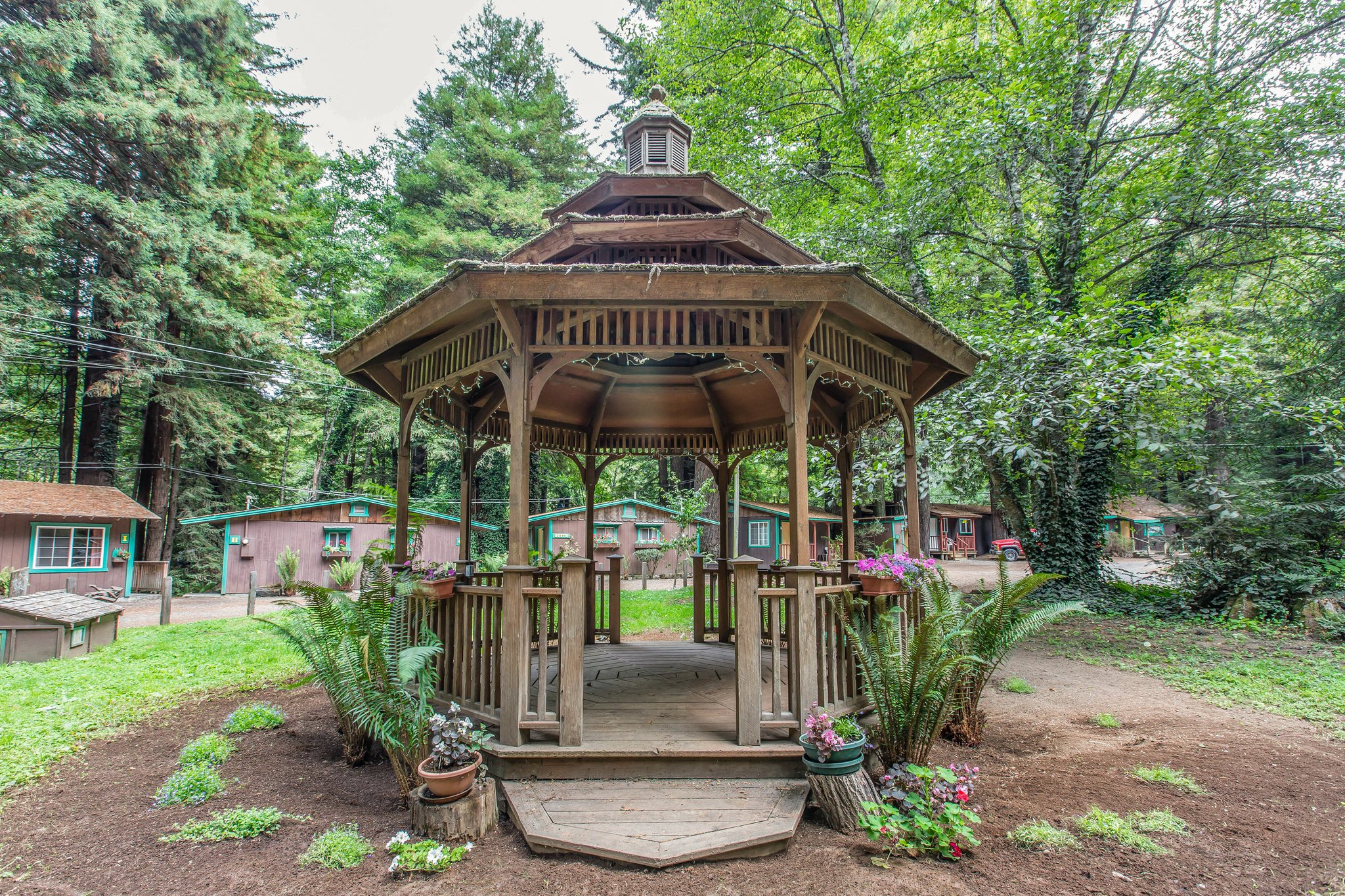 Emerald Forest Cabins & RV by null