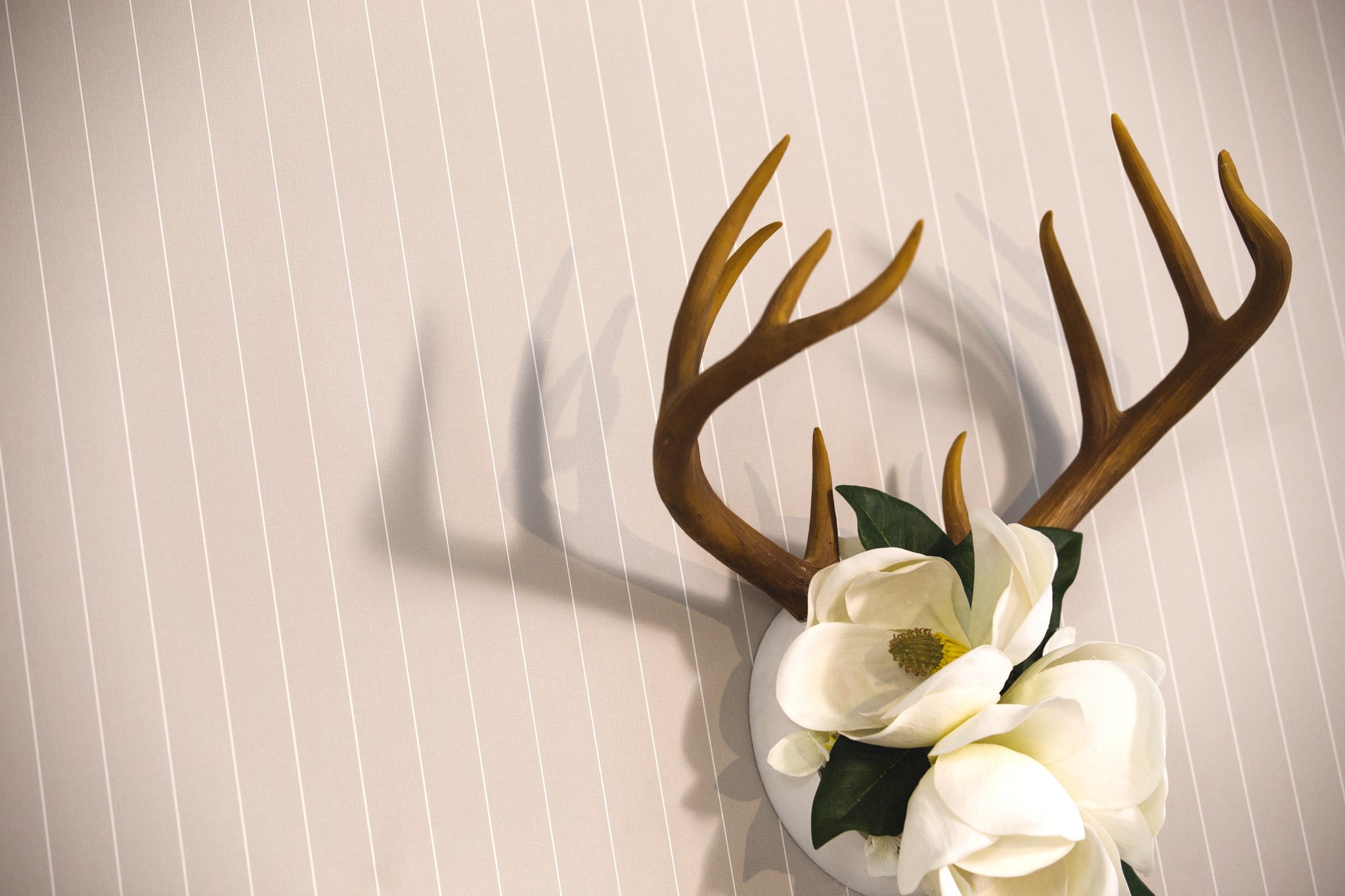 Kimpton Cardinal Hotel by null