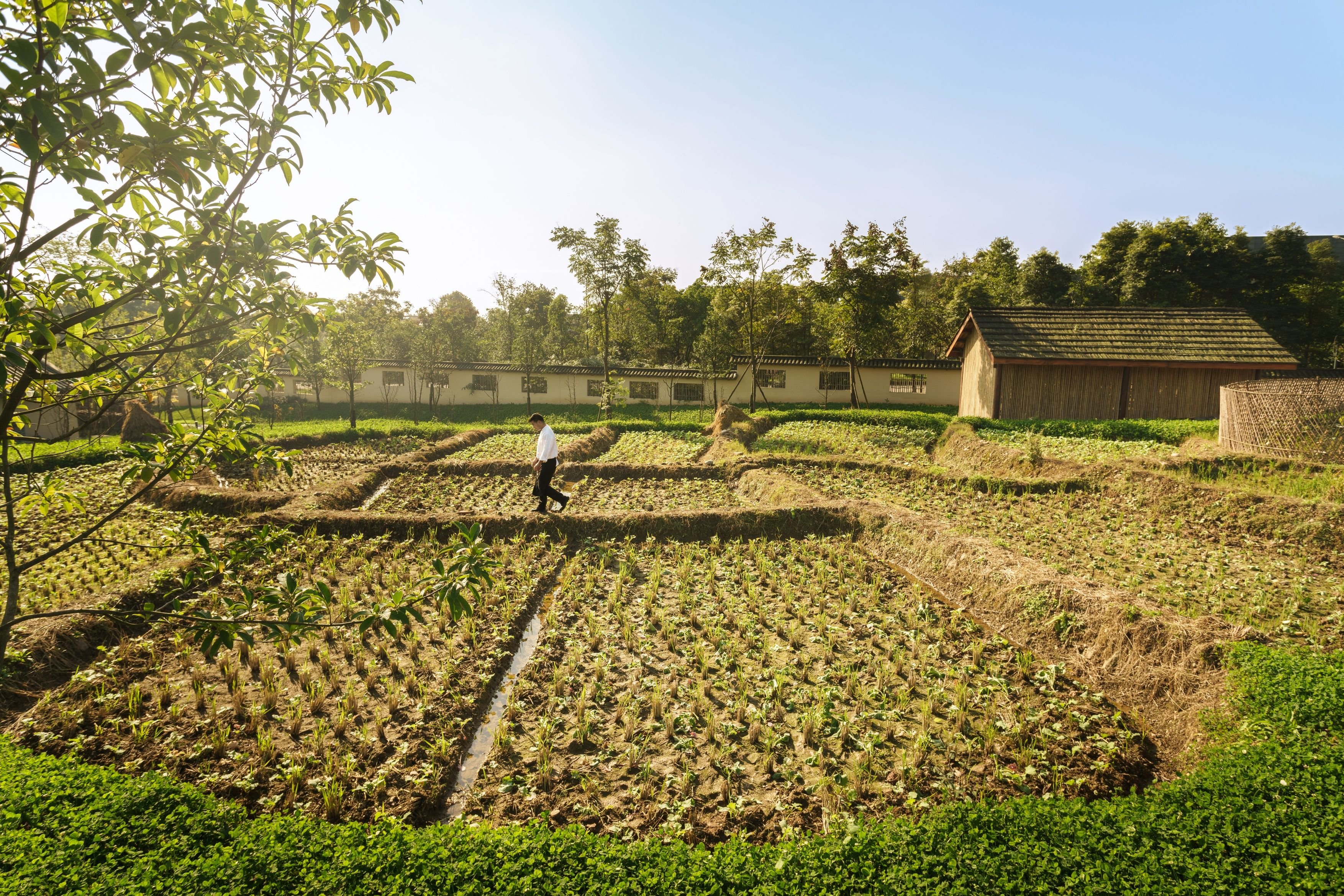 Six Senses Qing Cheng Mountain by null