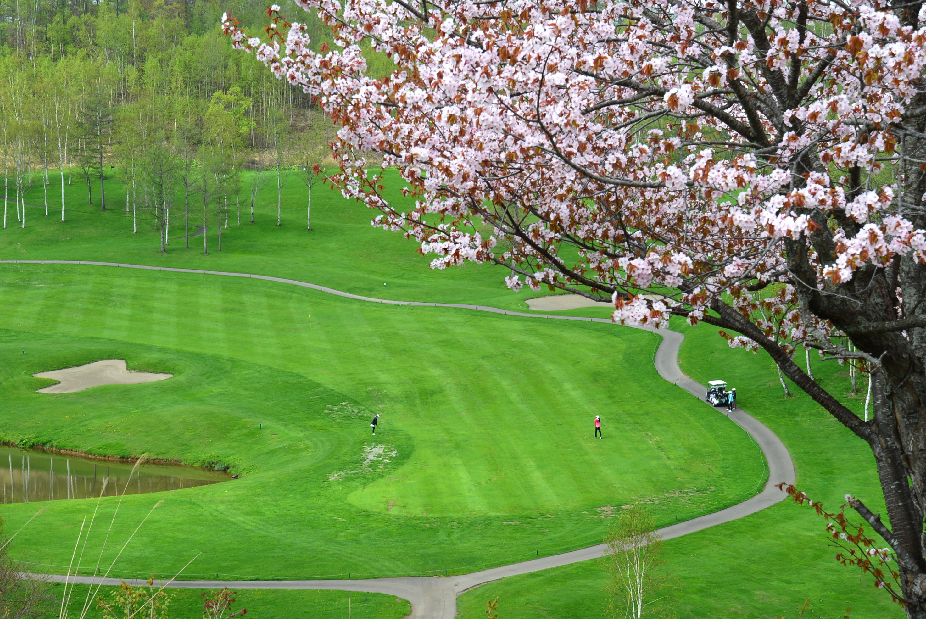 Kasara Niseko Village Townhouse by null