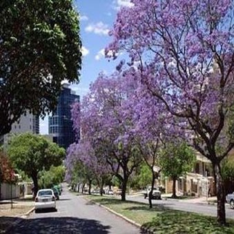 Mountway Holiday Apartments by null