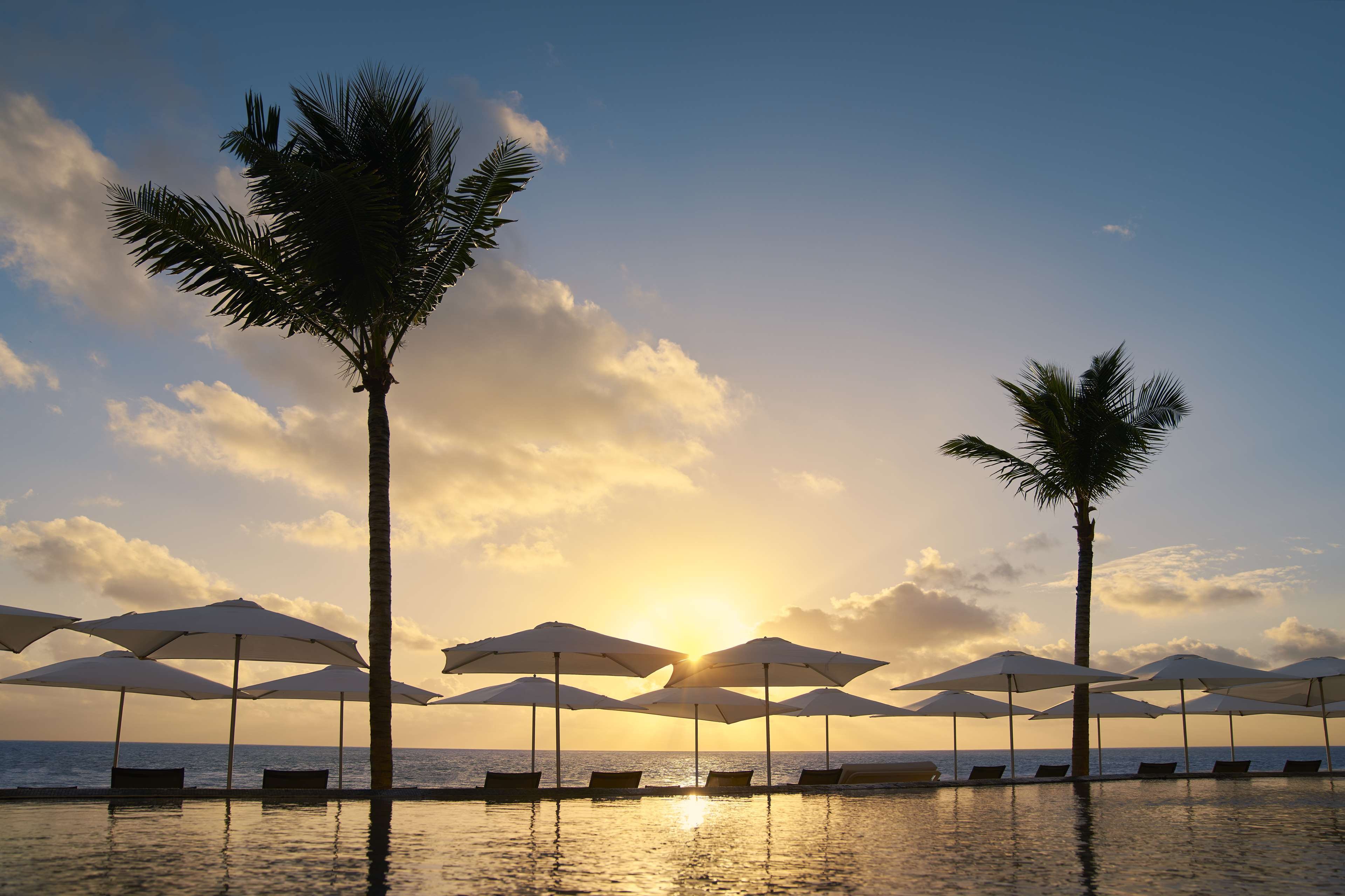 Hilton Cancun, an All-Inclusive Resort by null