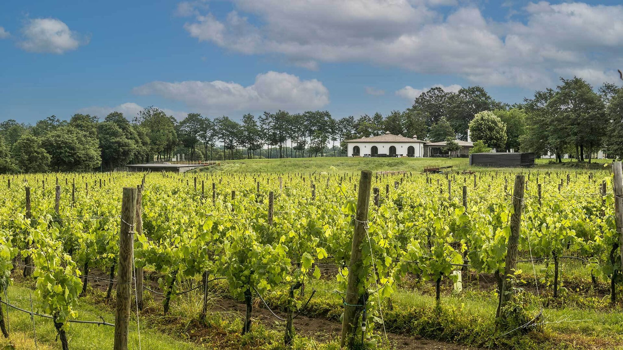 Borgo La Chiaracia Resort & SPA by null