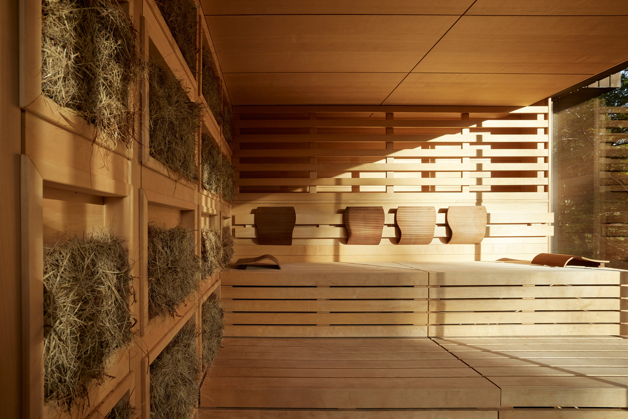 Hotel Saltus by null