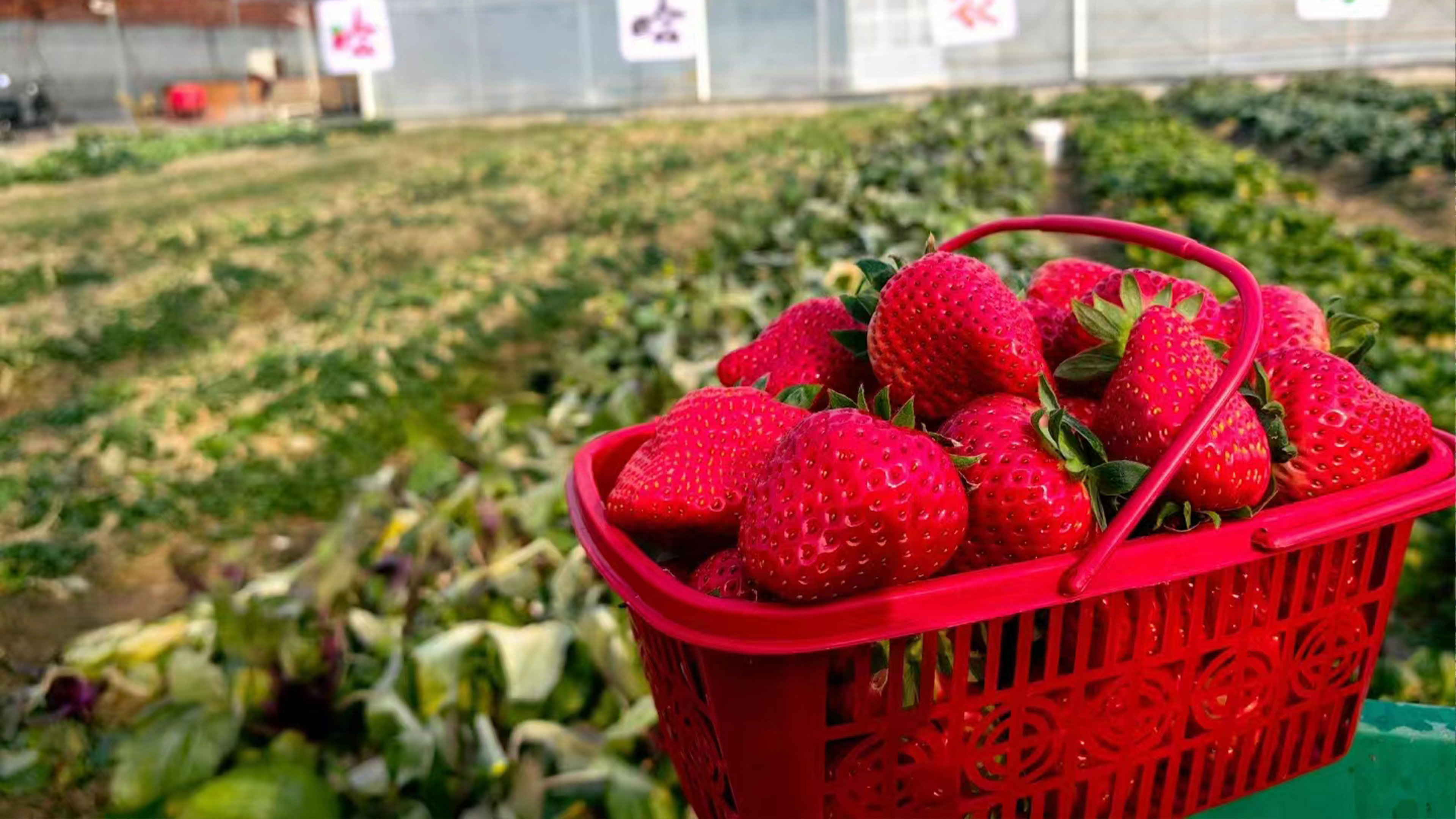Shanghai InterContinental Wonderland by null