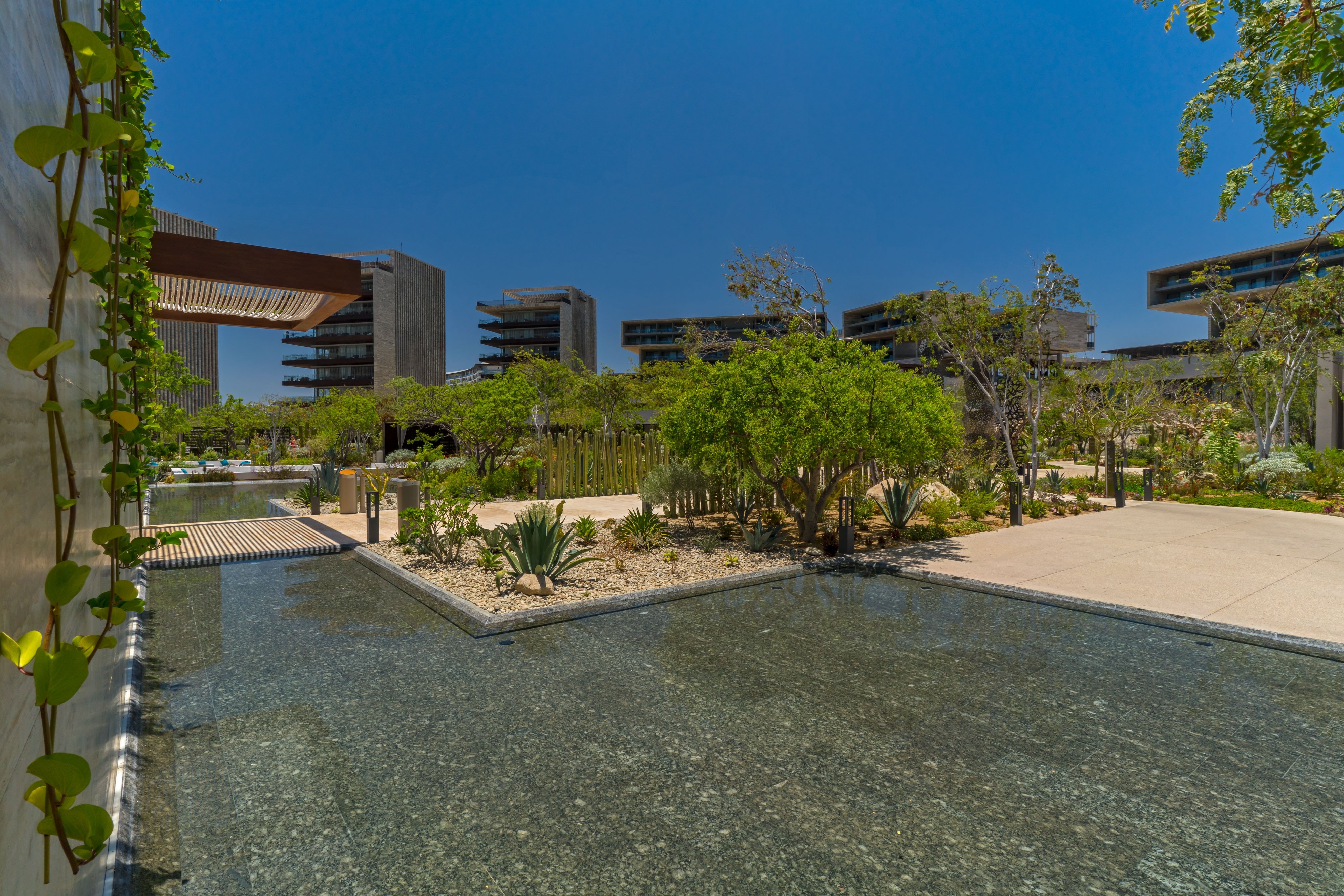 Solaz, a Luxury Collection Resort, Los Cabos by null
