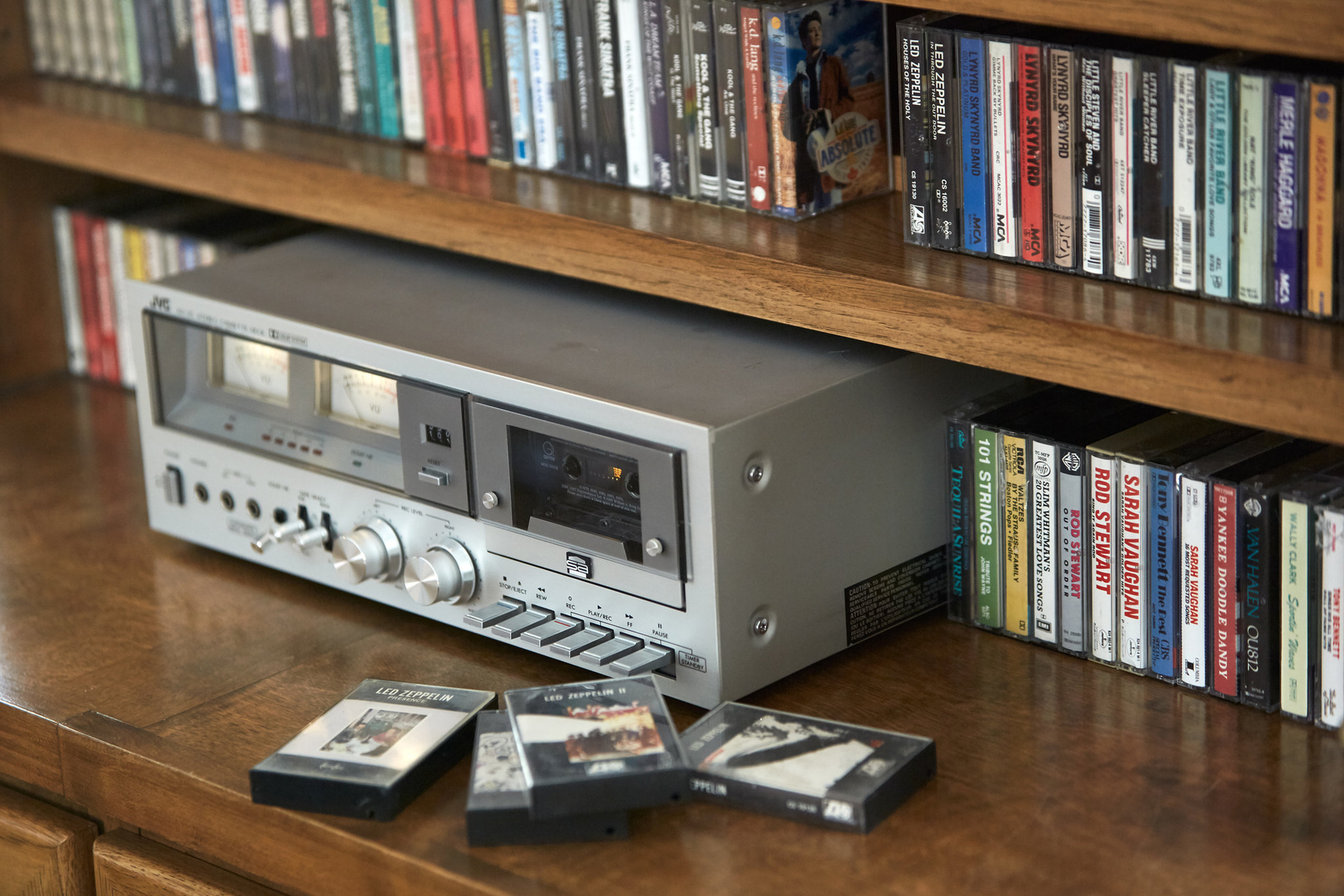 The Hotel Carmel by null