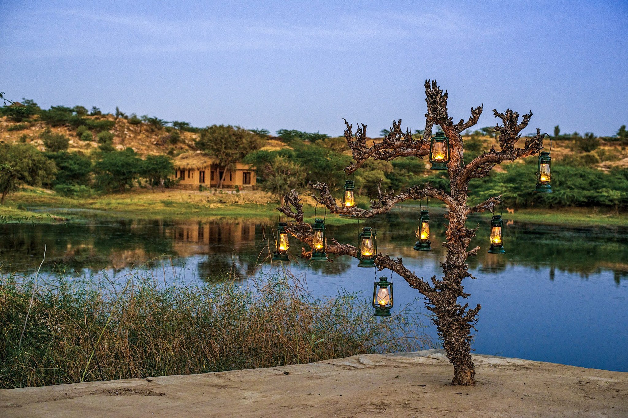 Brij Lakshman Sagar, Pali by null