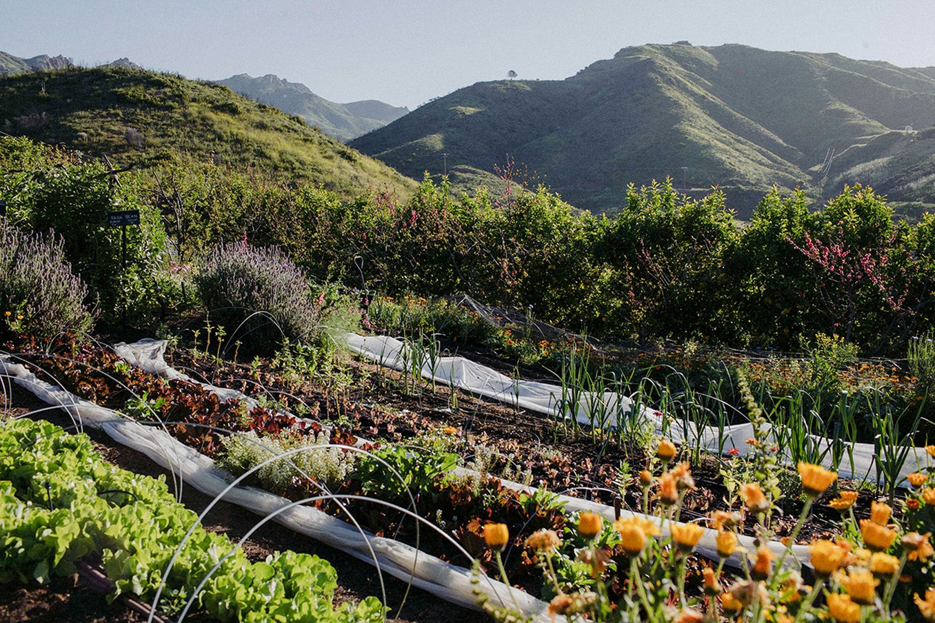 The Ranch Malibu by null