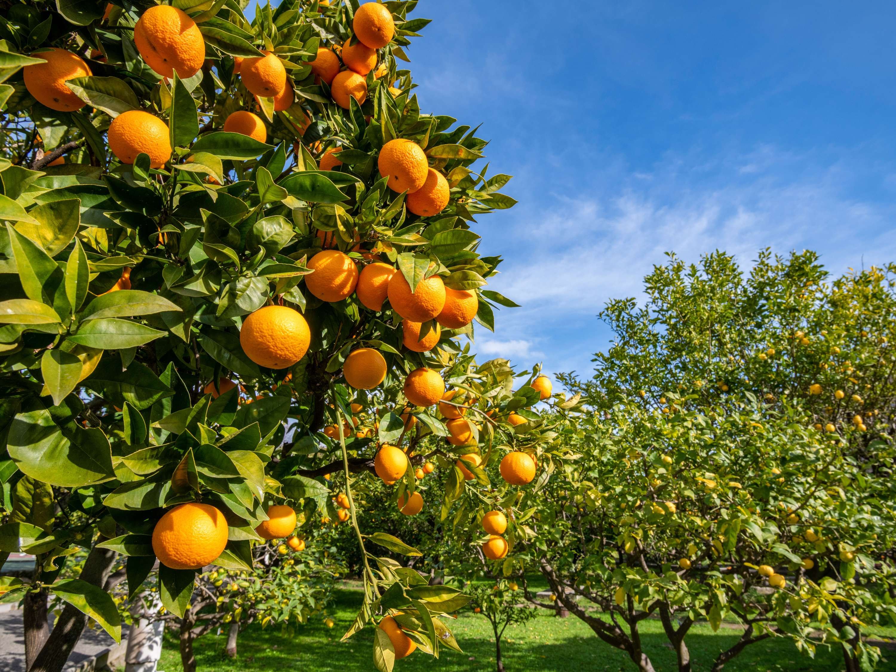 Mantra Midtown Brisbane by null