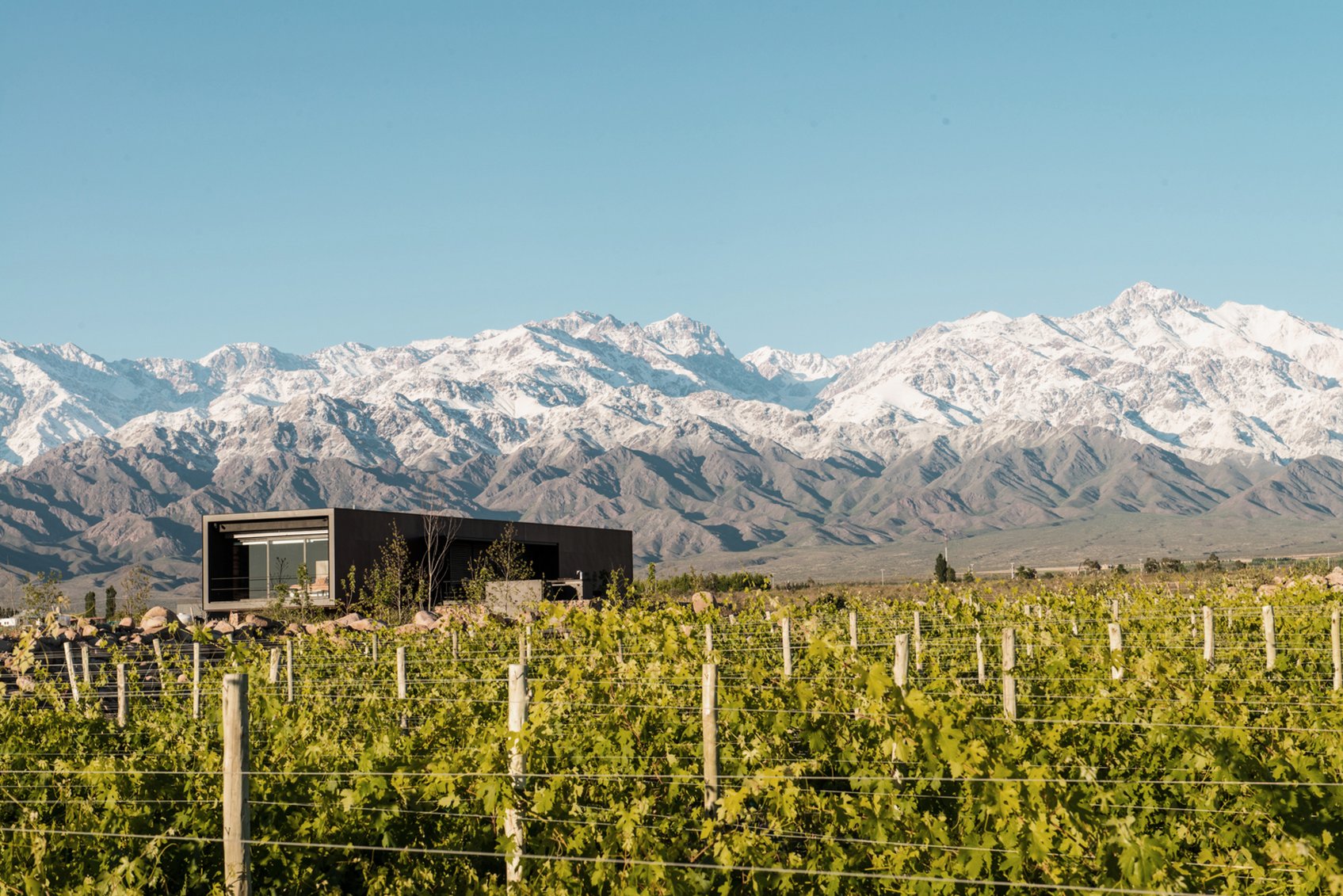 The Vines Resort & Spa by null