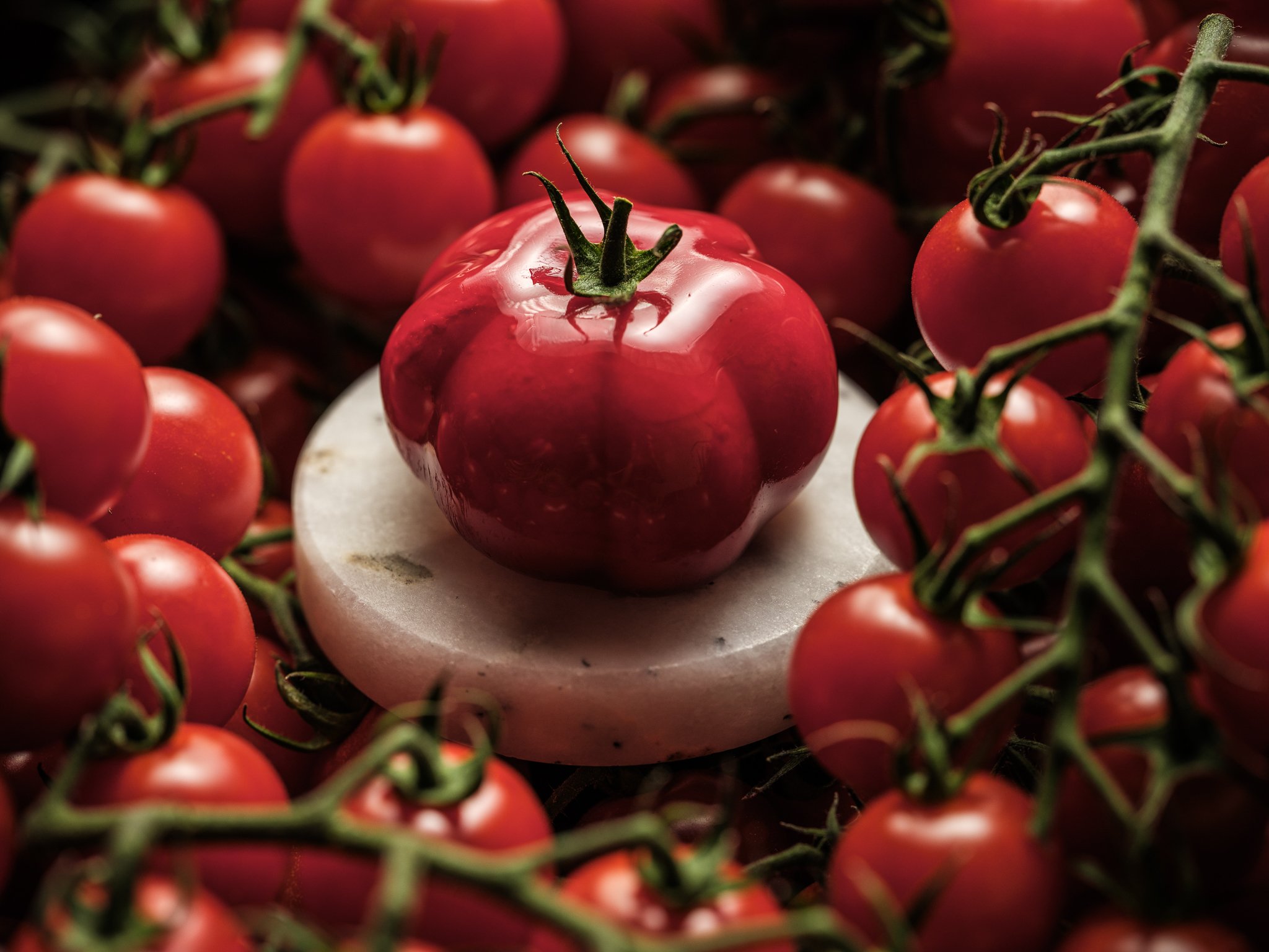 Botanic Sanctuary Antwerp by null