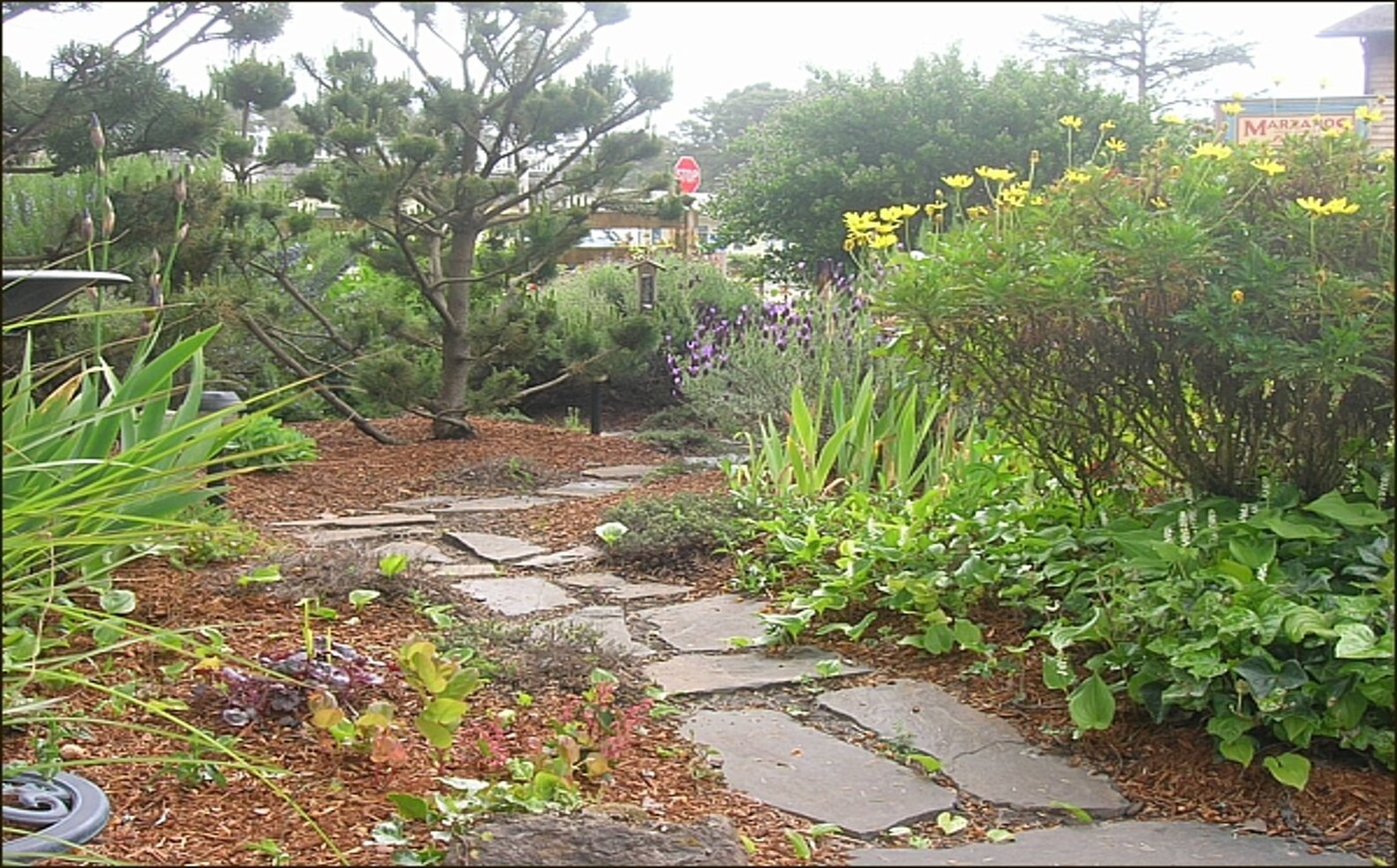 Inn at Manzanita by null