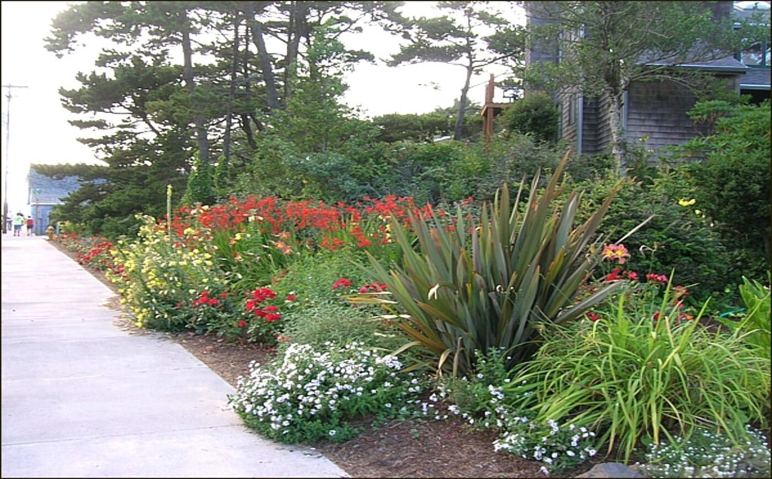 Inn at Manzanita by null