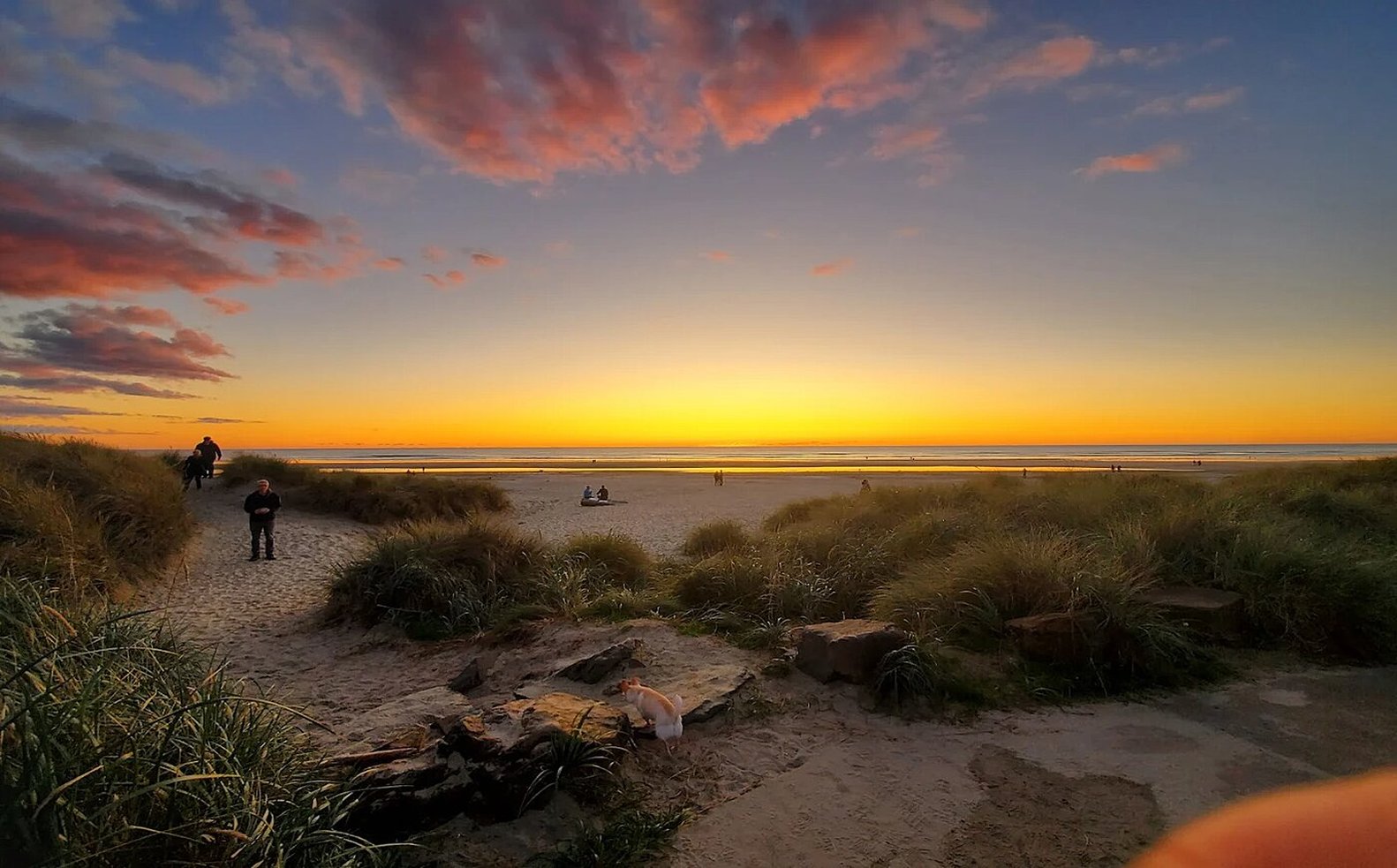 Inn at Manzanita by null