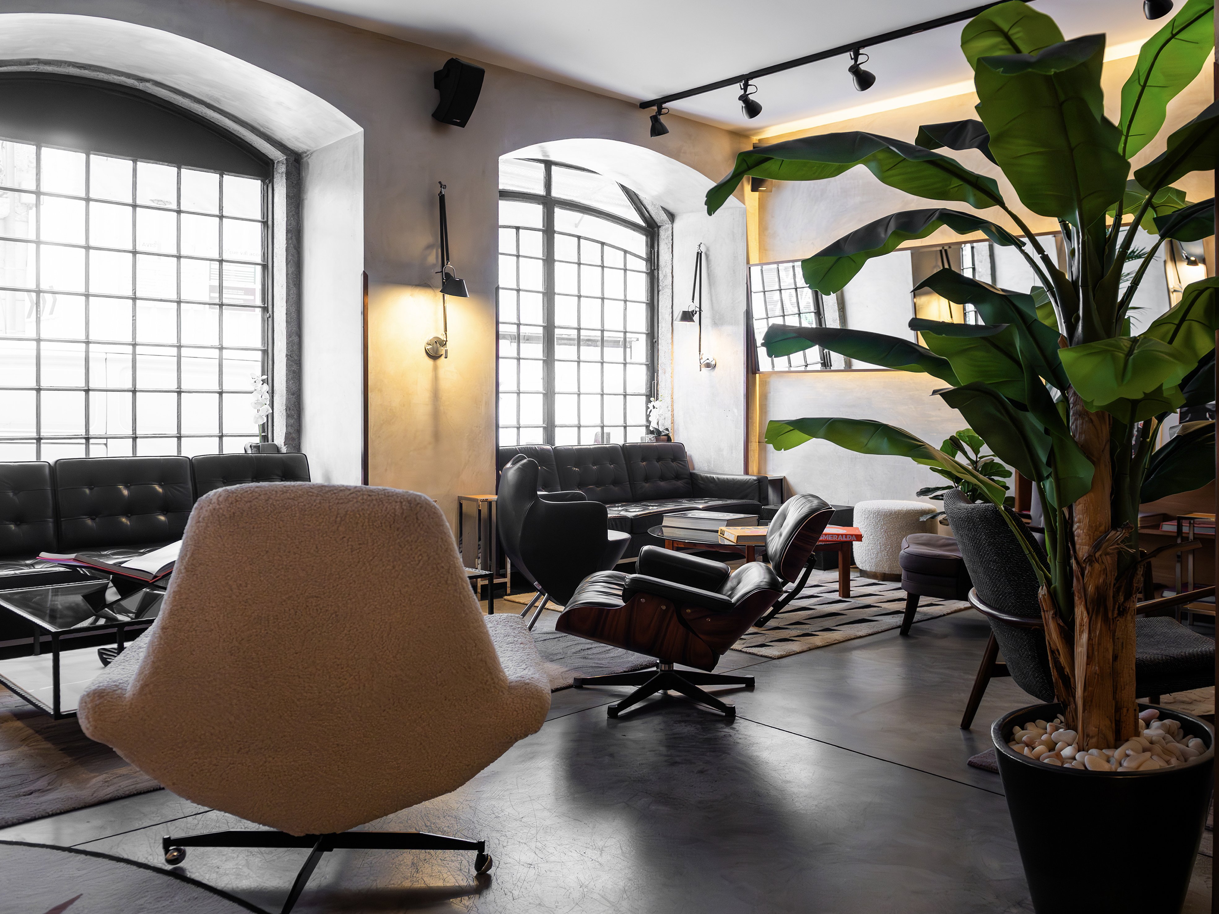 Brown's | Downtown Hotel by null