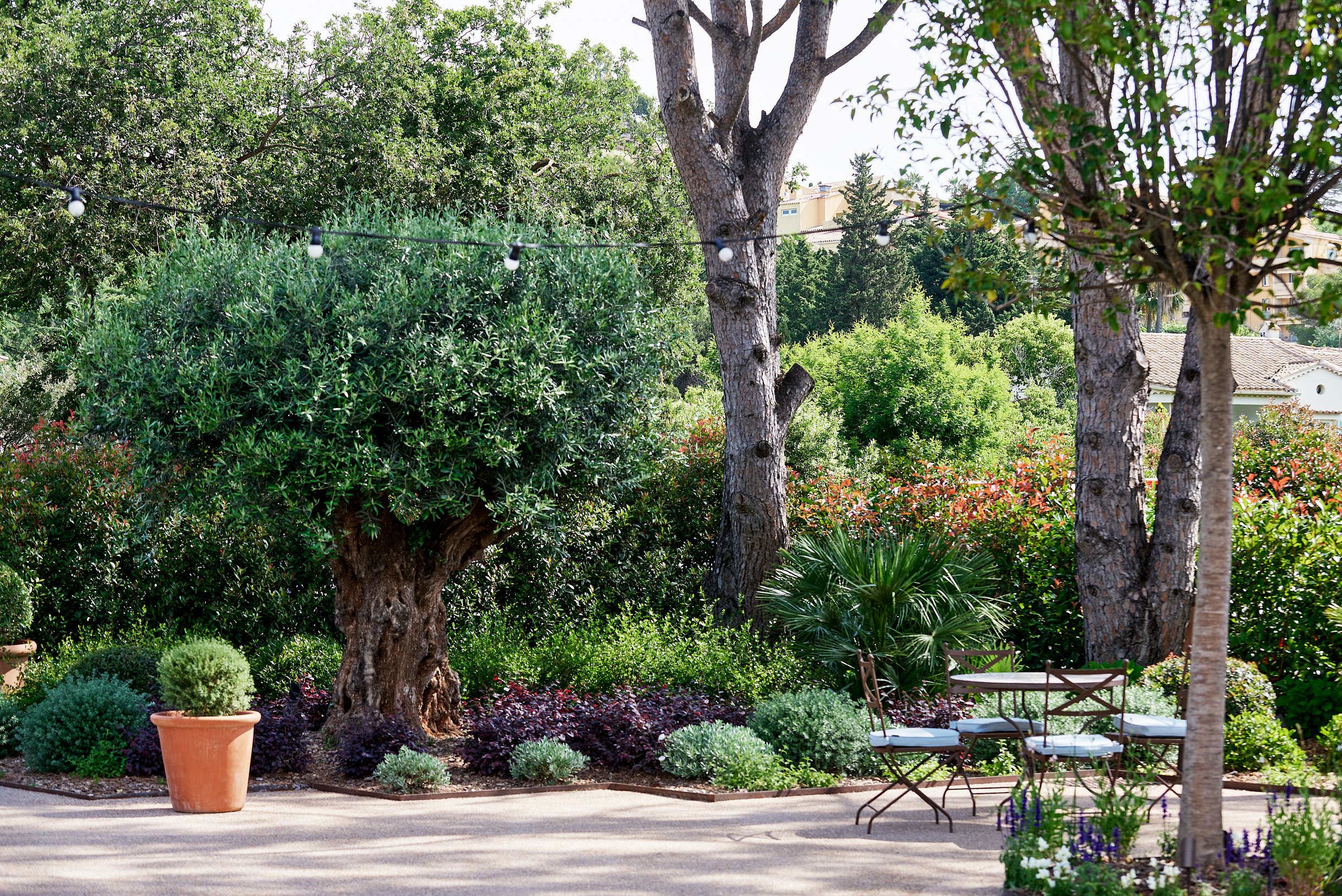 AREV St. Tropez by null