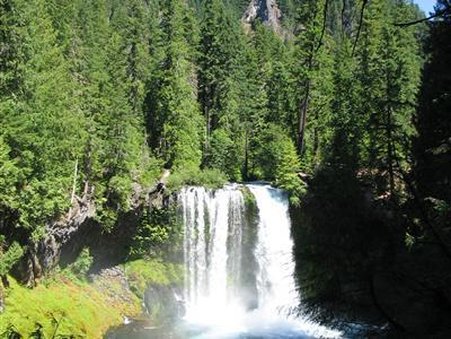 McKenzie River Inn by null
