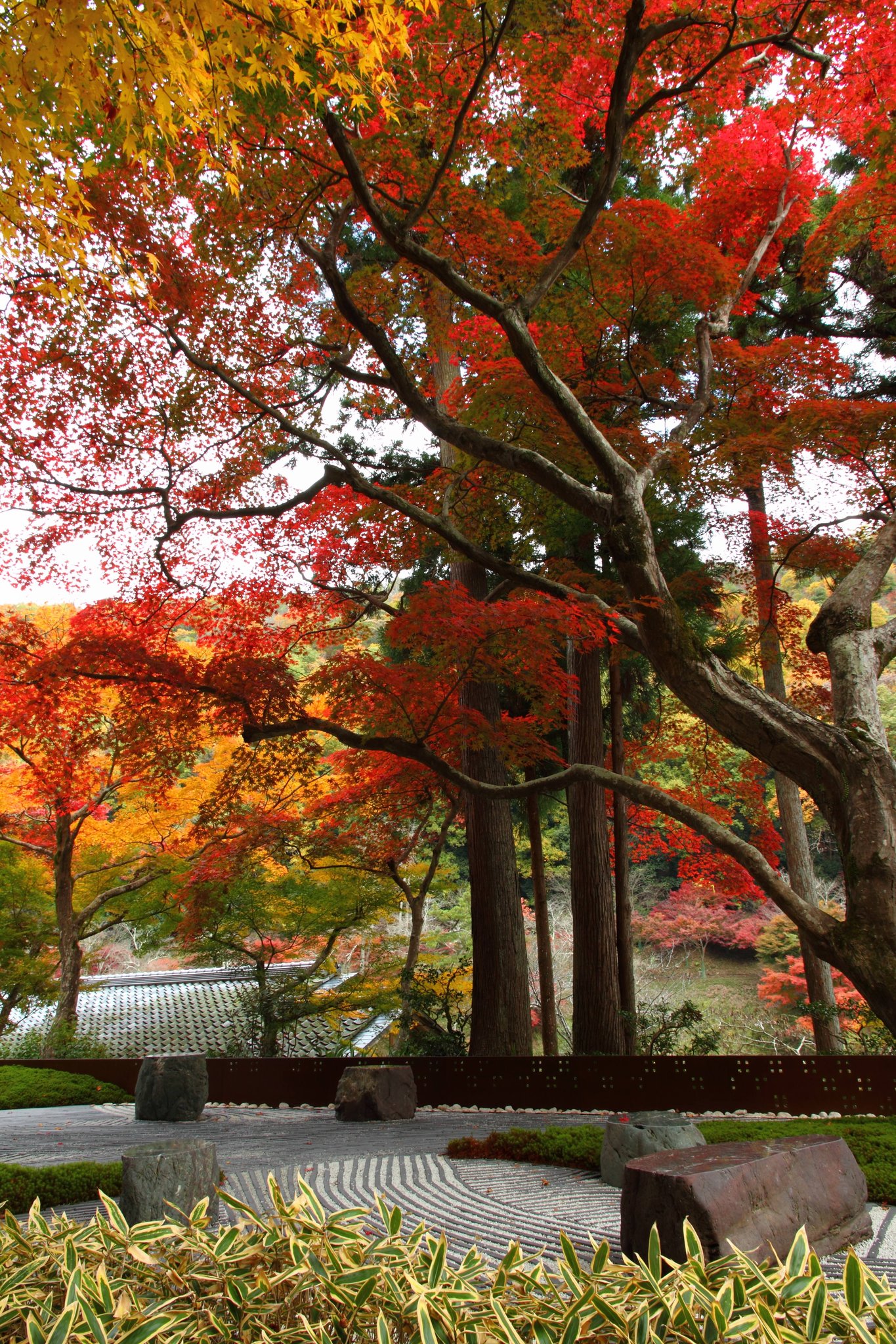 HOSHINOYA Kyoto by null