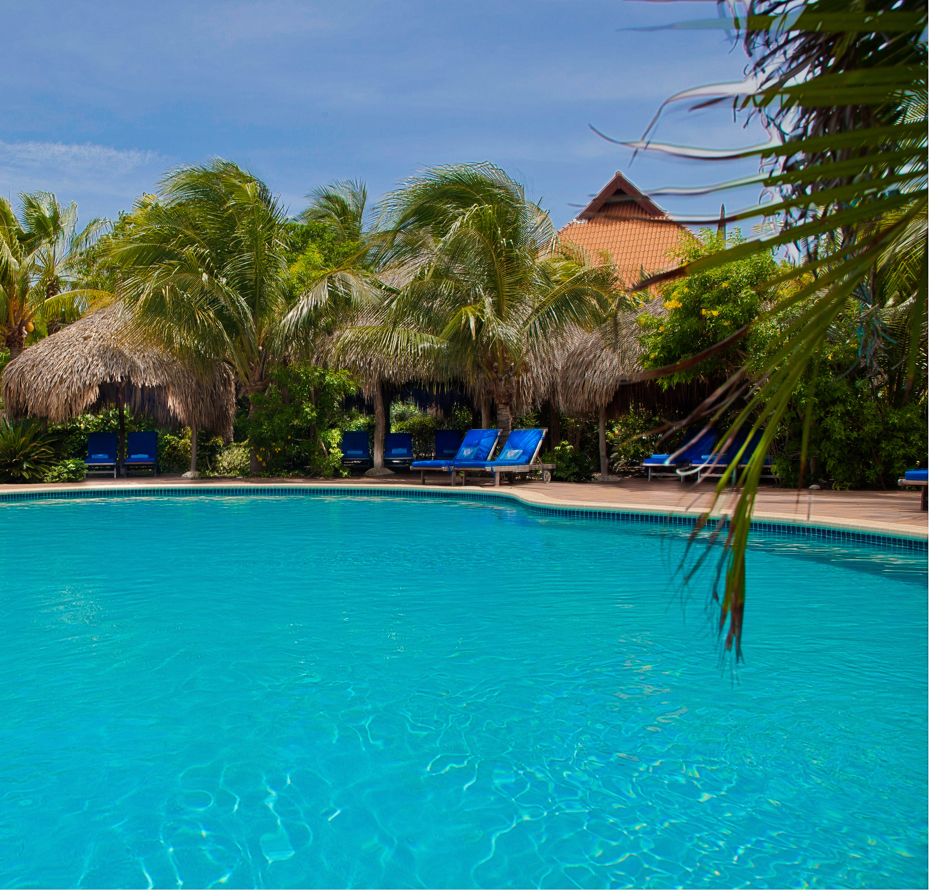 Kura Hulanda Lodge & Beach Club - All Inclusive by null