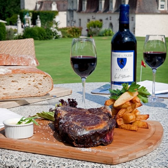 Château des Vigiers by null