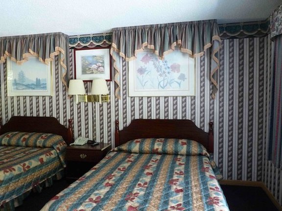 The Little Lion by null