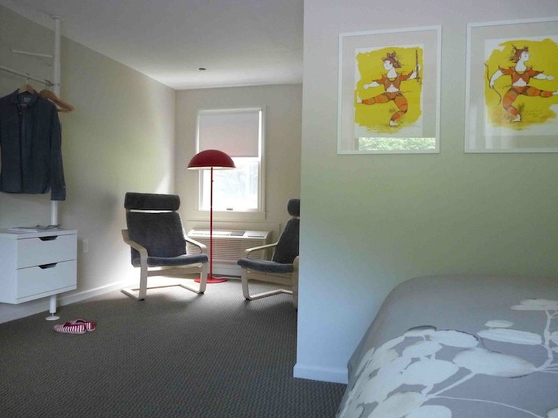 The Little Lion by null