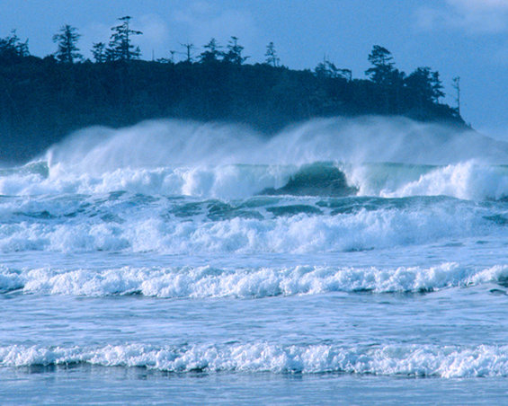 Pacific Sands Beach Resort by null